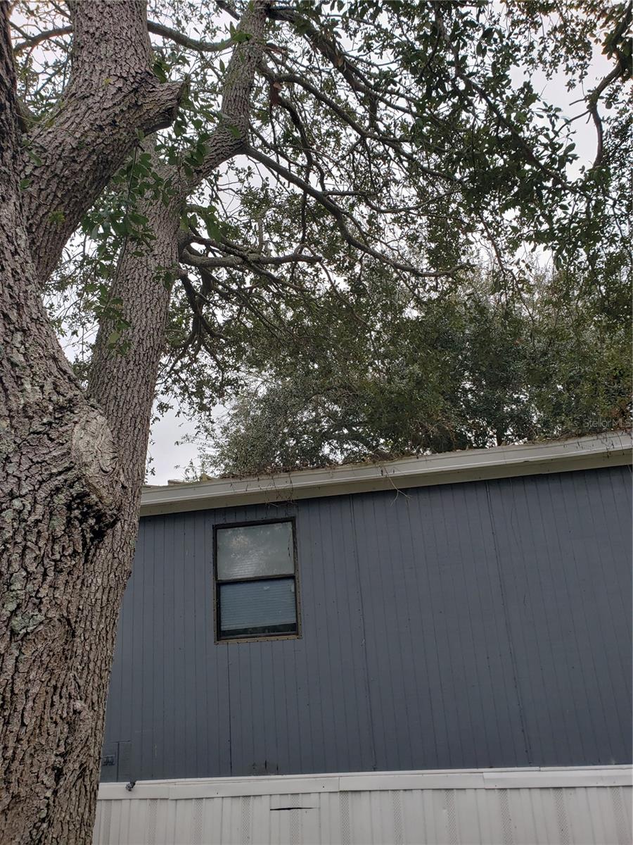 6997 CHESTNUT DR, COCOA, FL, 32927