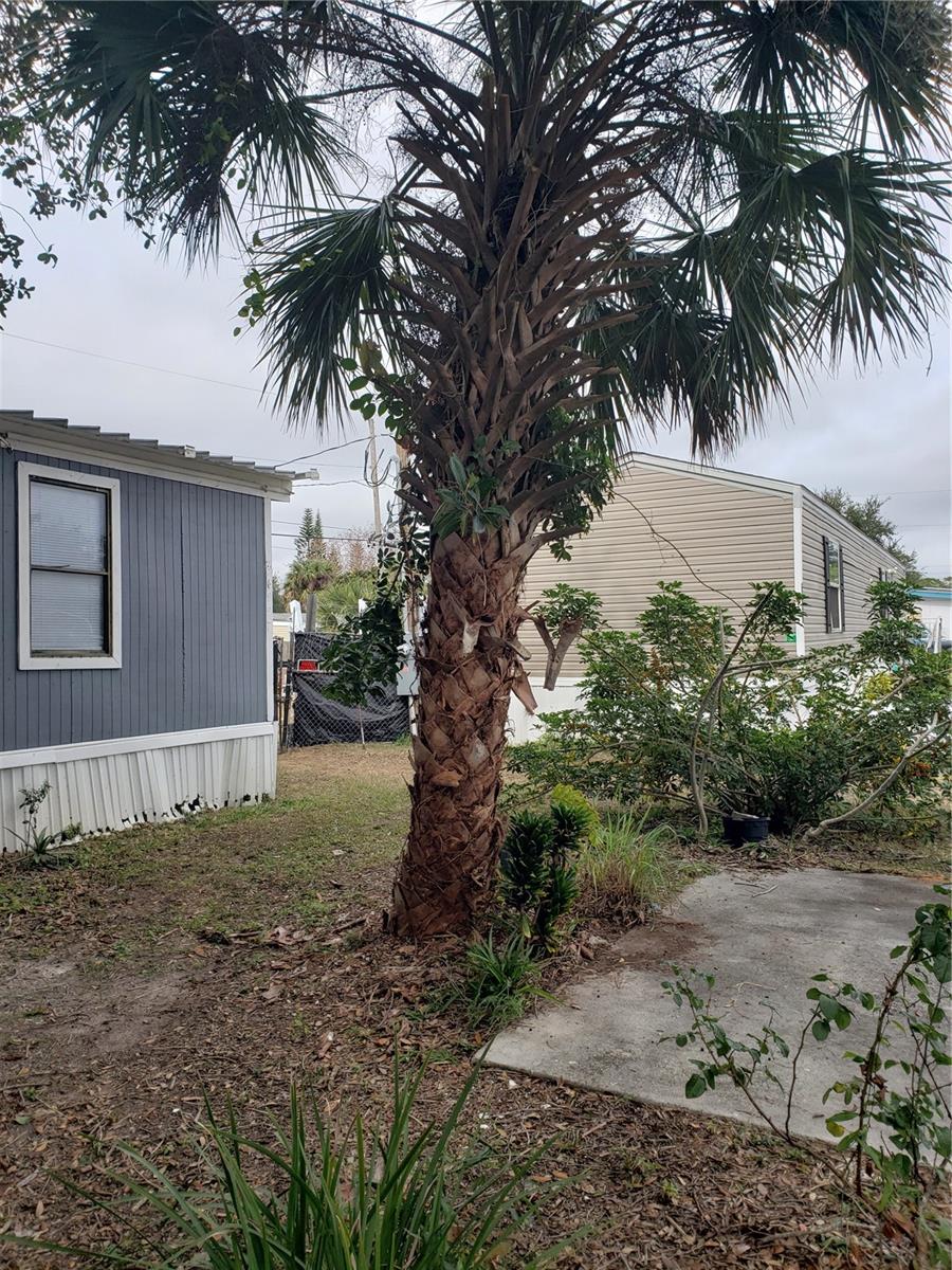 6997 CHESTNUT DR, COCOA, FL, 32927