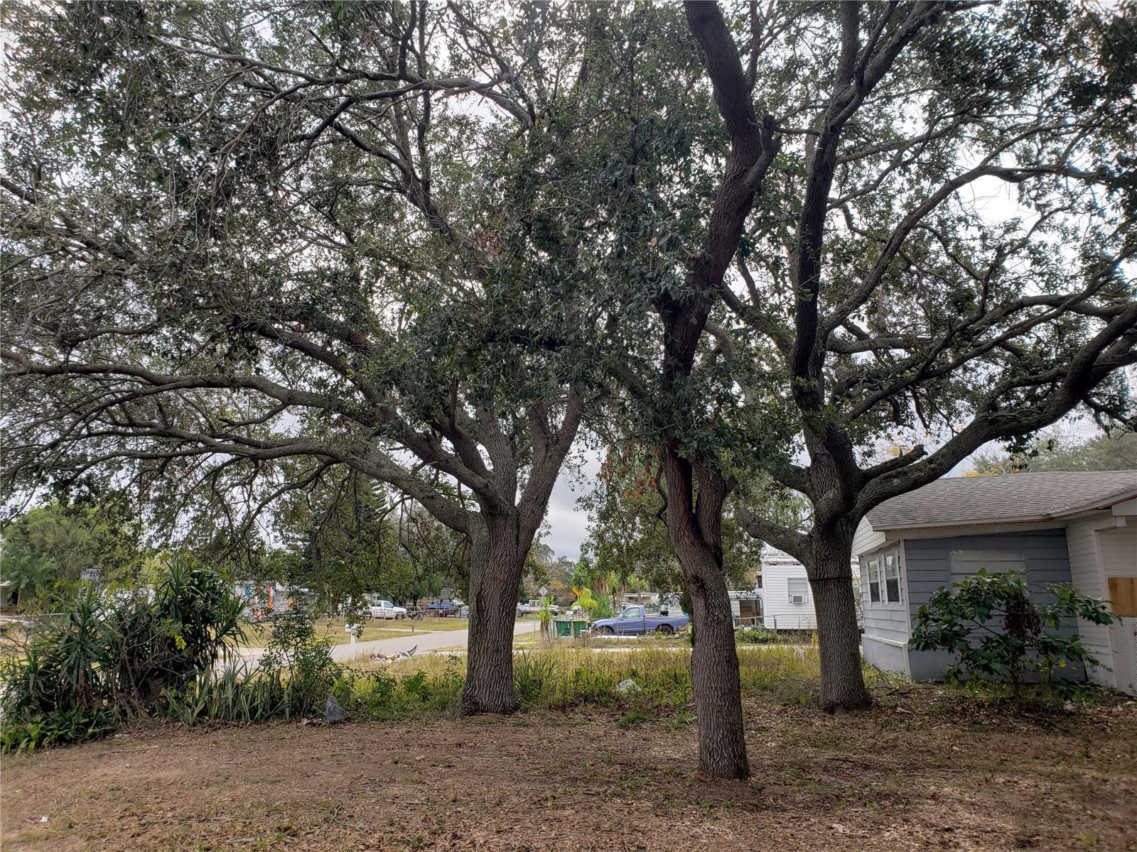 6997 CHESTNUT DR, COCOA, FL, 32927