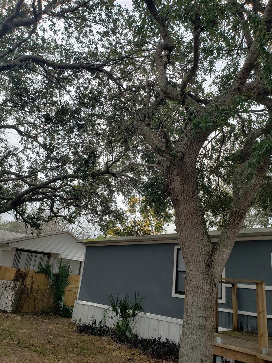 6997 CHESTNUT DR, COCOA, FL, 32927