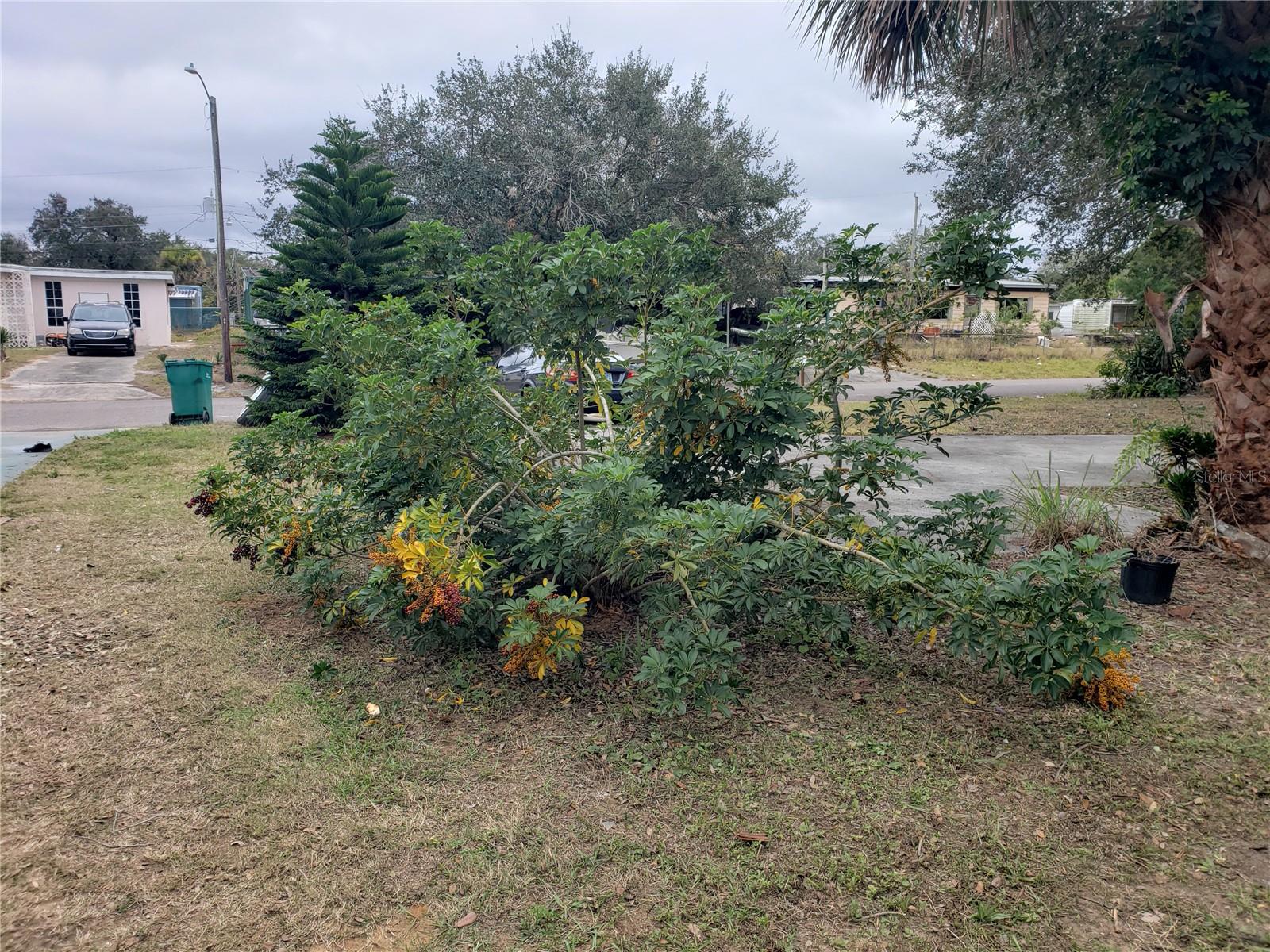 6997 CHESTNUT DR, COCOA, FL, 32927