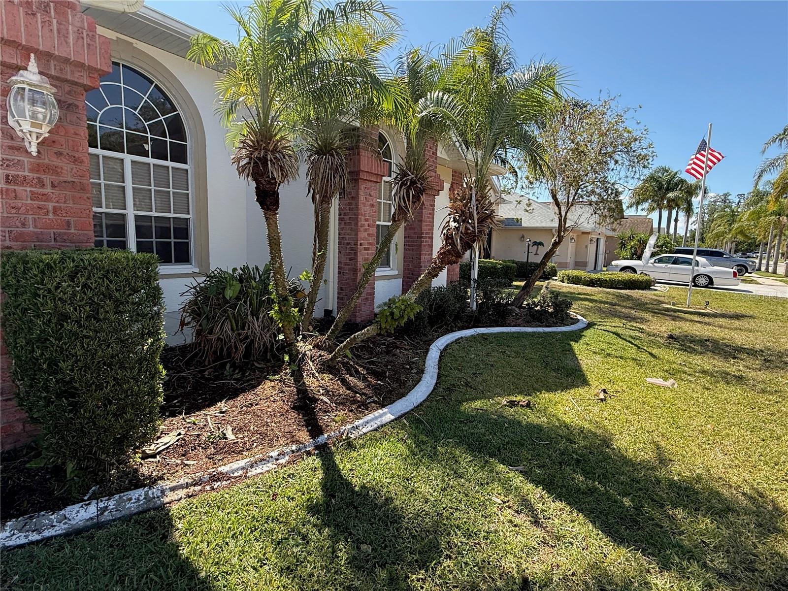 4450 ANACONDA DR, NEW PORT RICHEY, FL, 34655