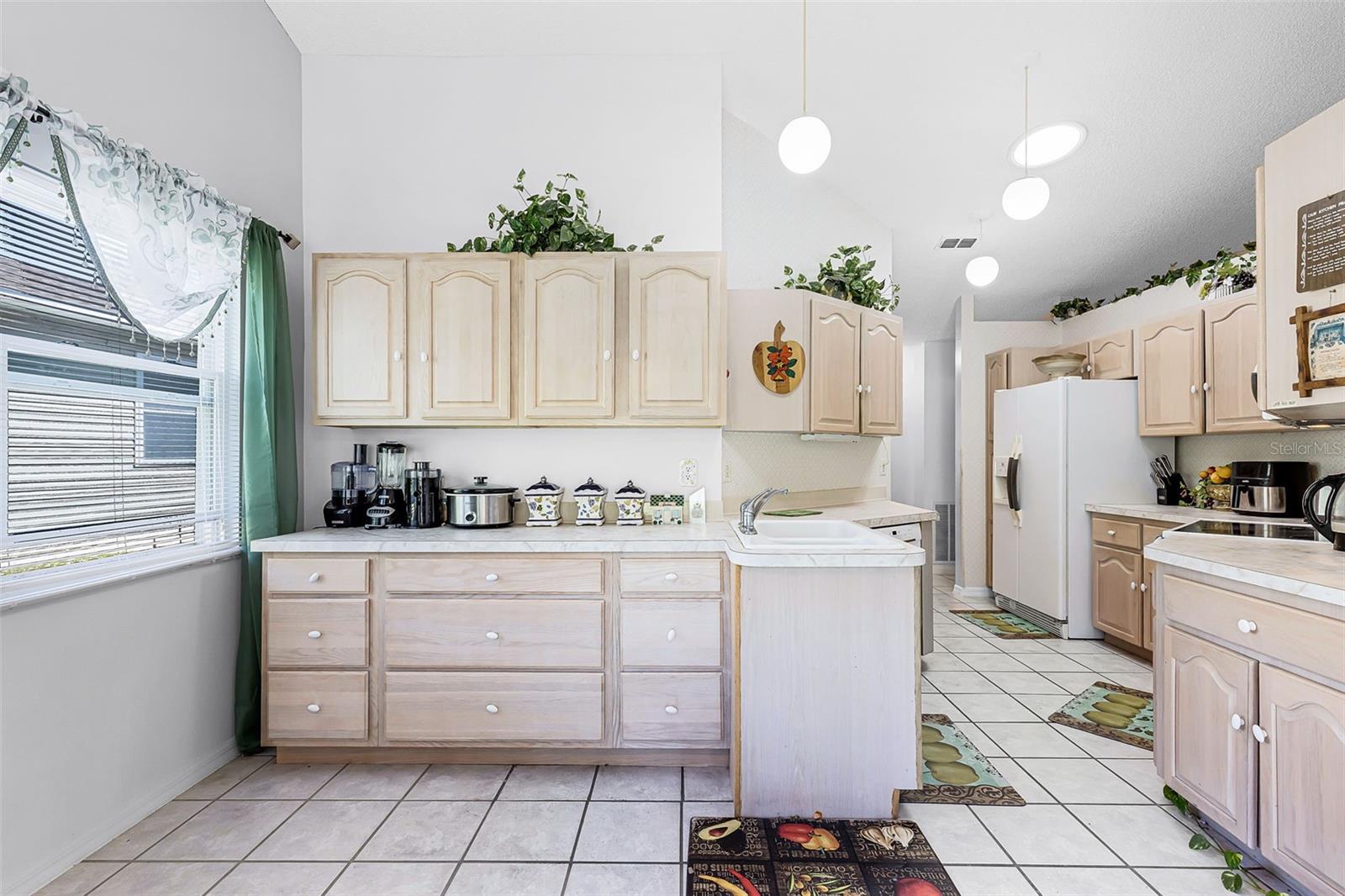 32537 OAK PARK DR, LEESBURG, FL, 34748