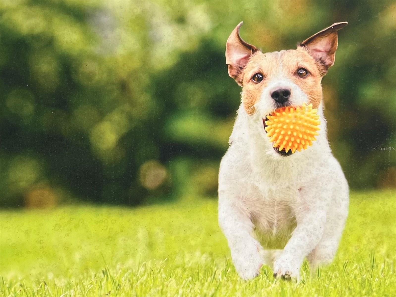 108 CORONADO RD, FLAGLER BEACH, FL, 32136