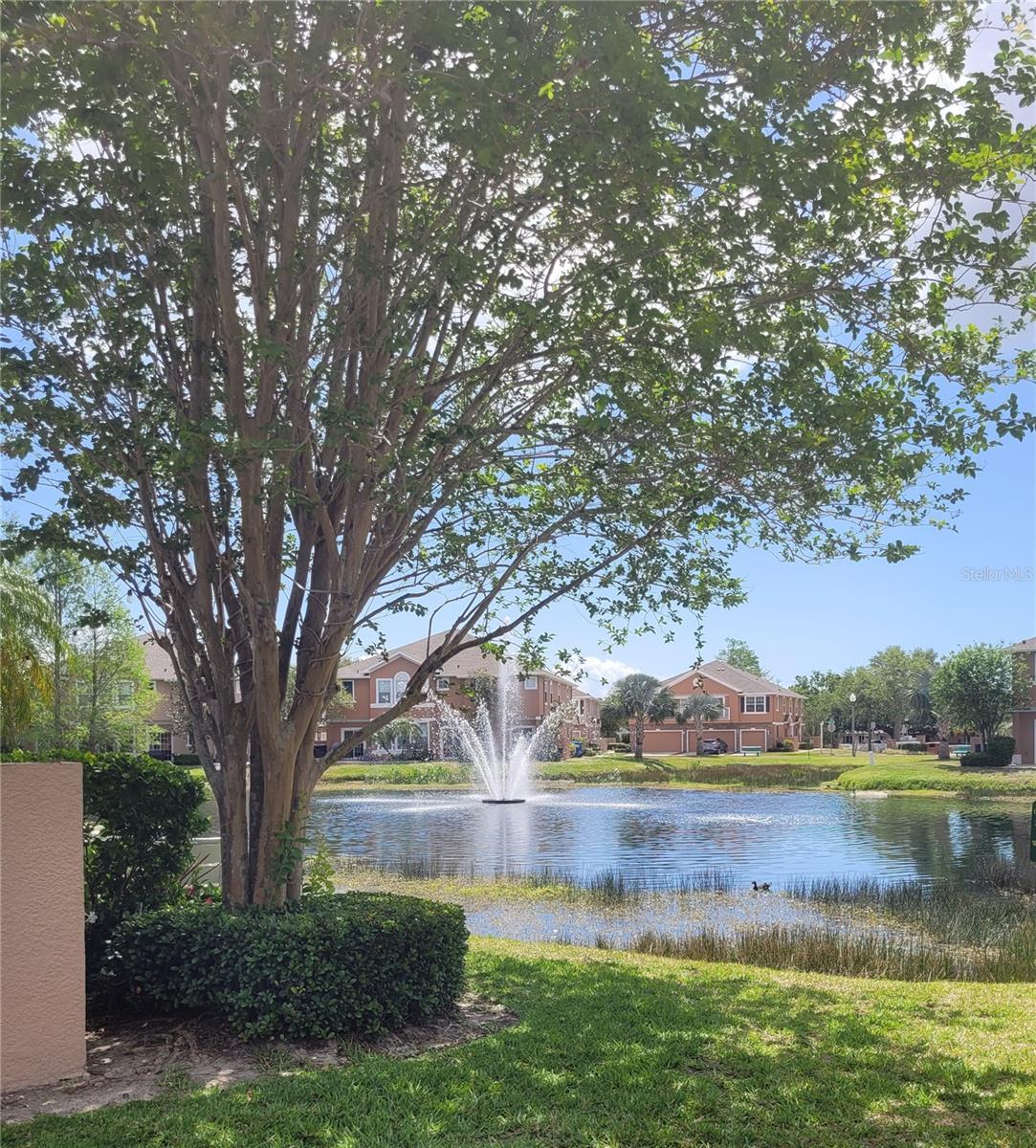 584 52ND AVE N, ST PETERSBURG, FL, 33703