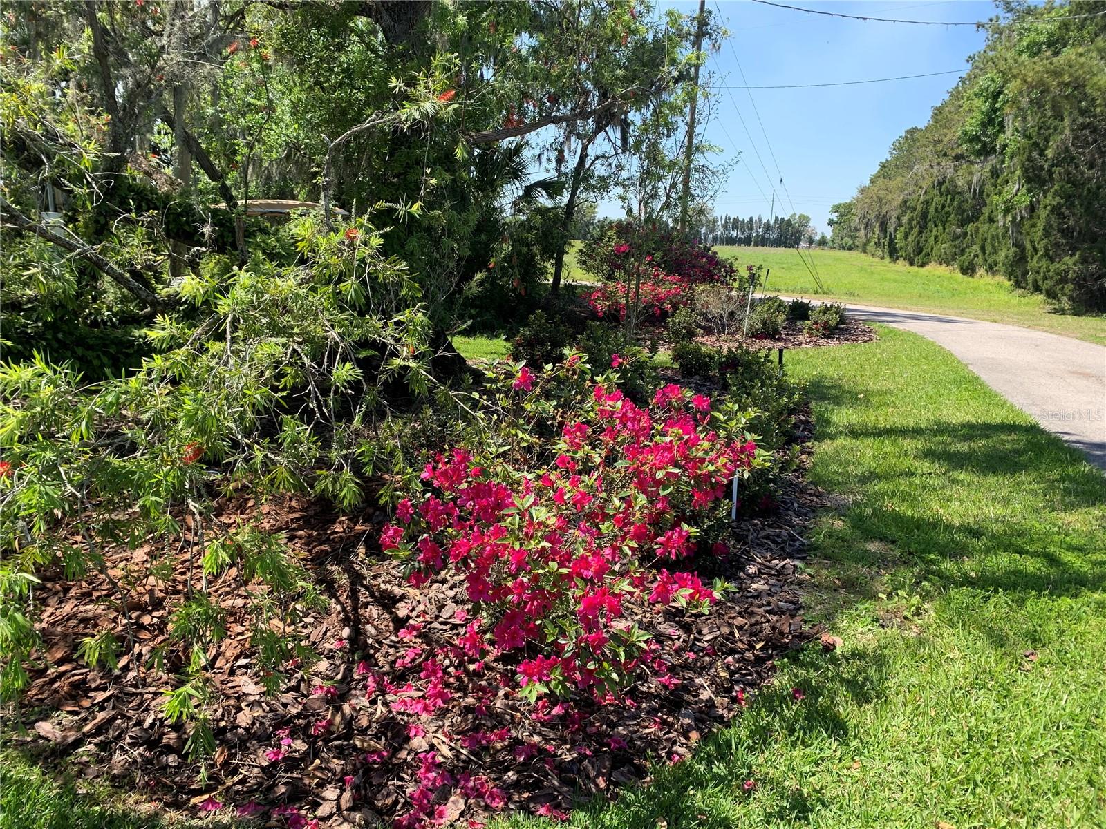 L4952200 Property Photo