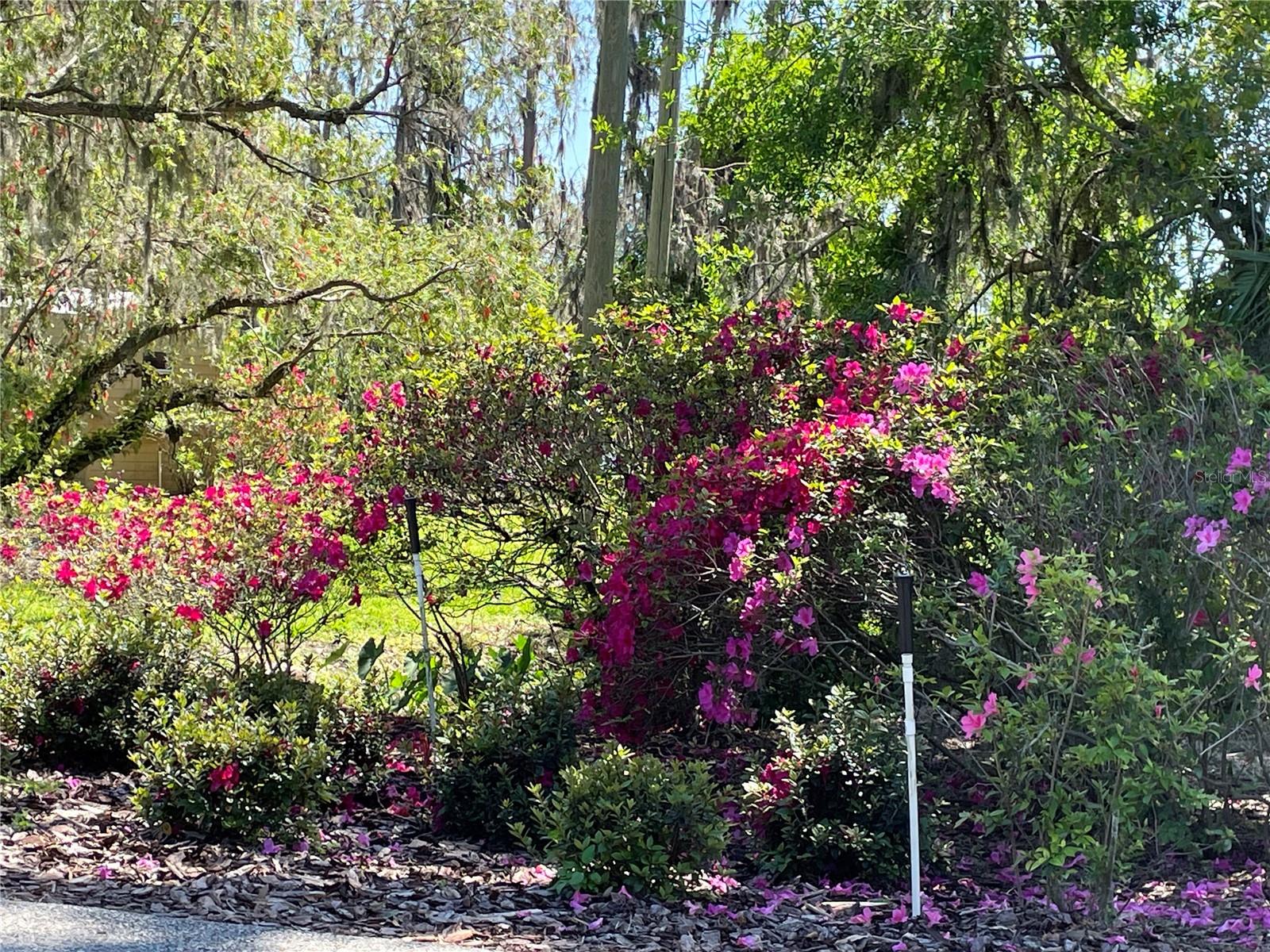 L4952200 Property Photo