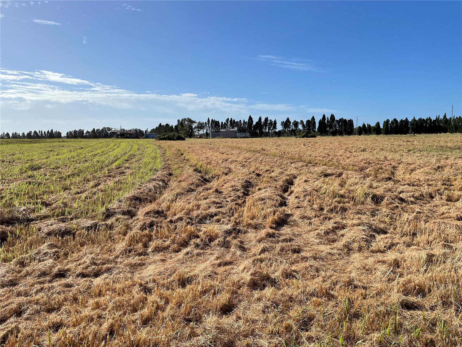 L4952200 Property Photo