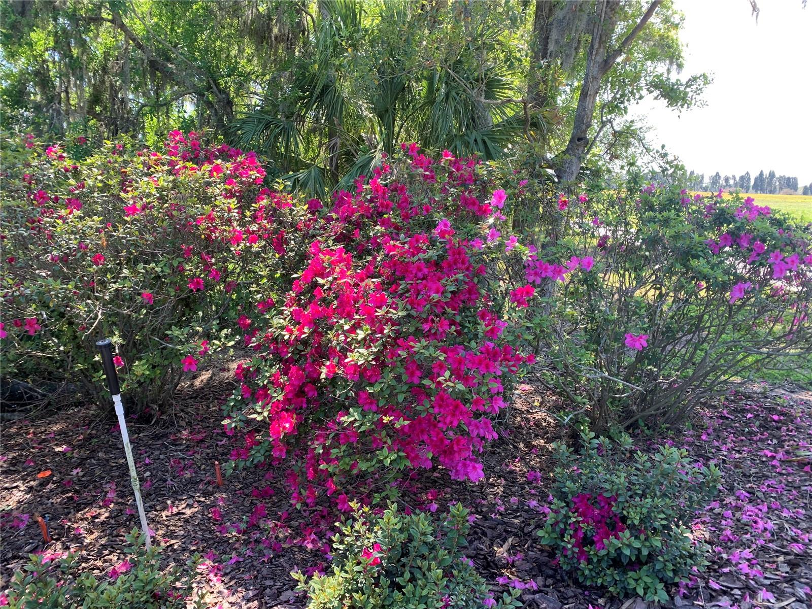 L4952200 Property Photo