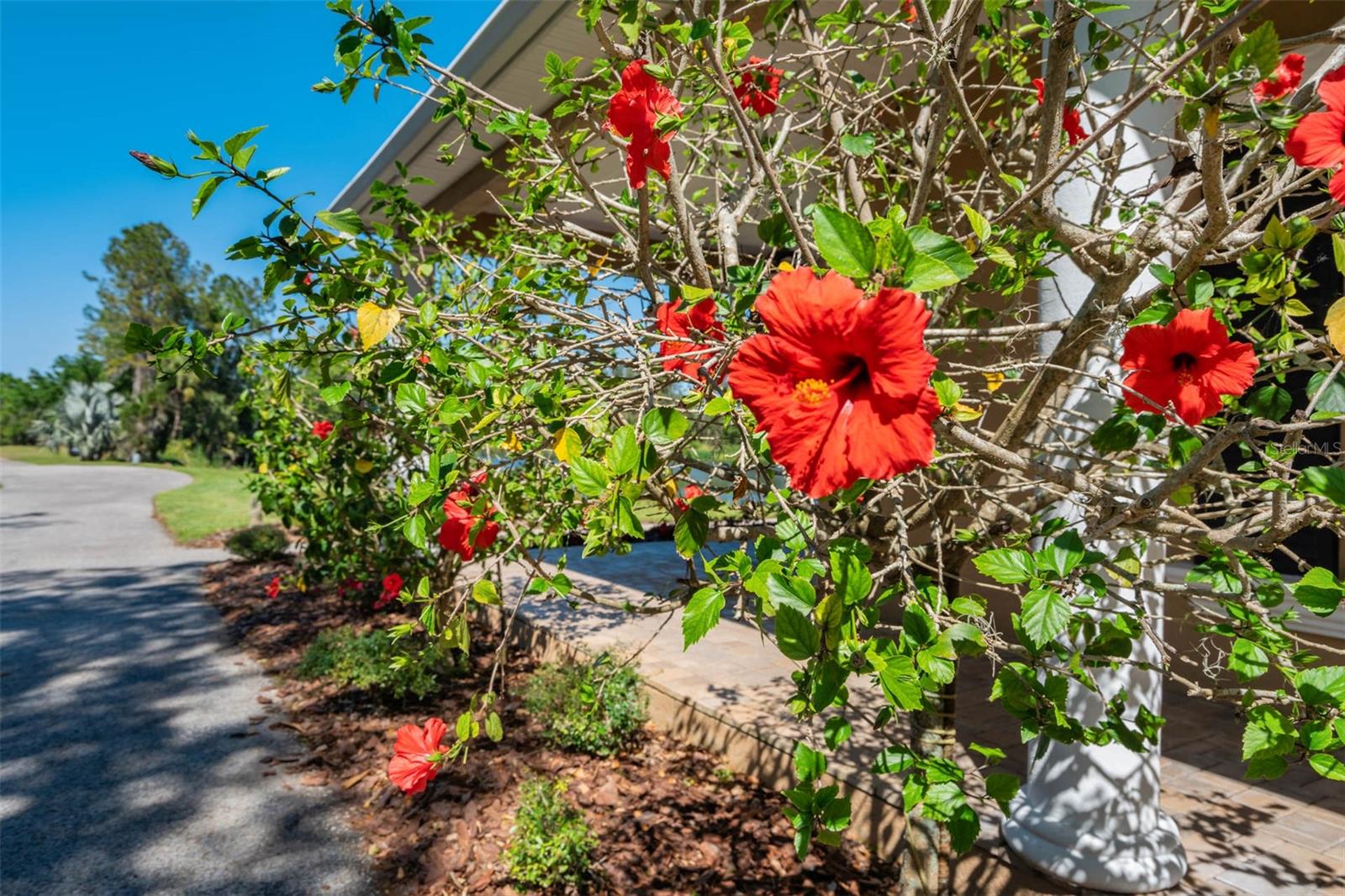 L4952200 Property Photo