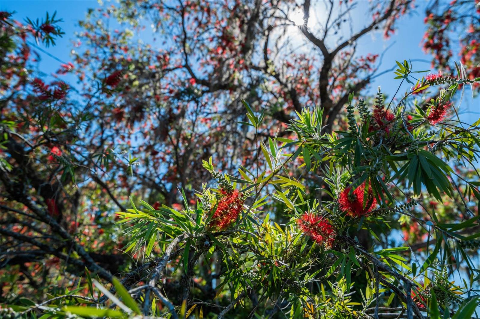 L4952200 Property Photo