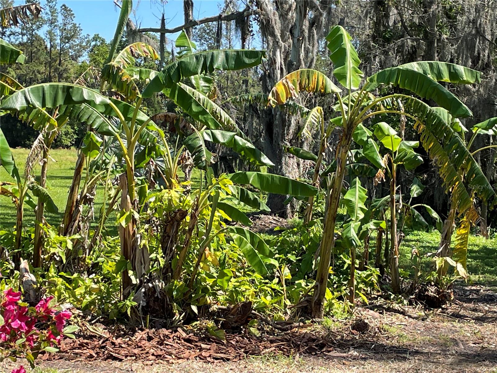 L4952200 Property Photo