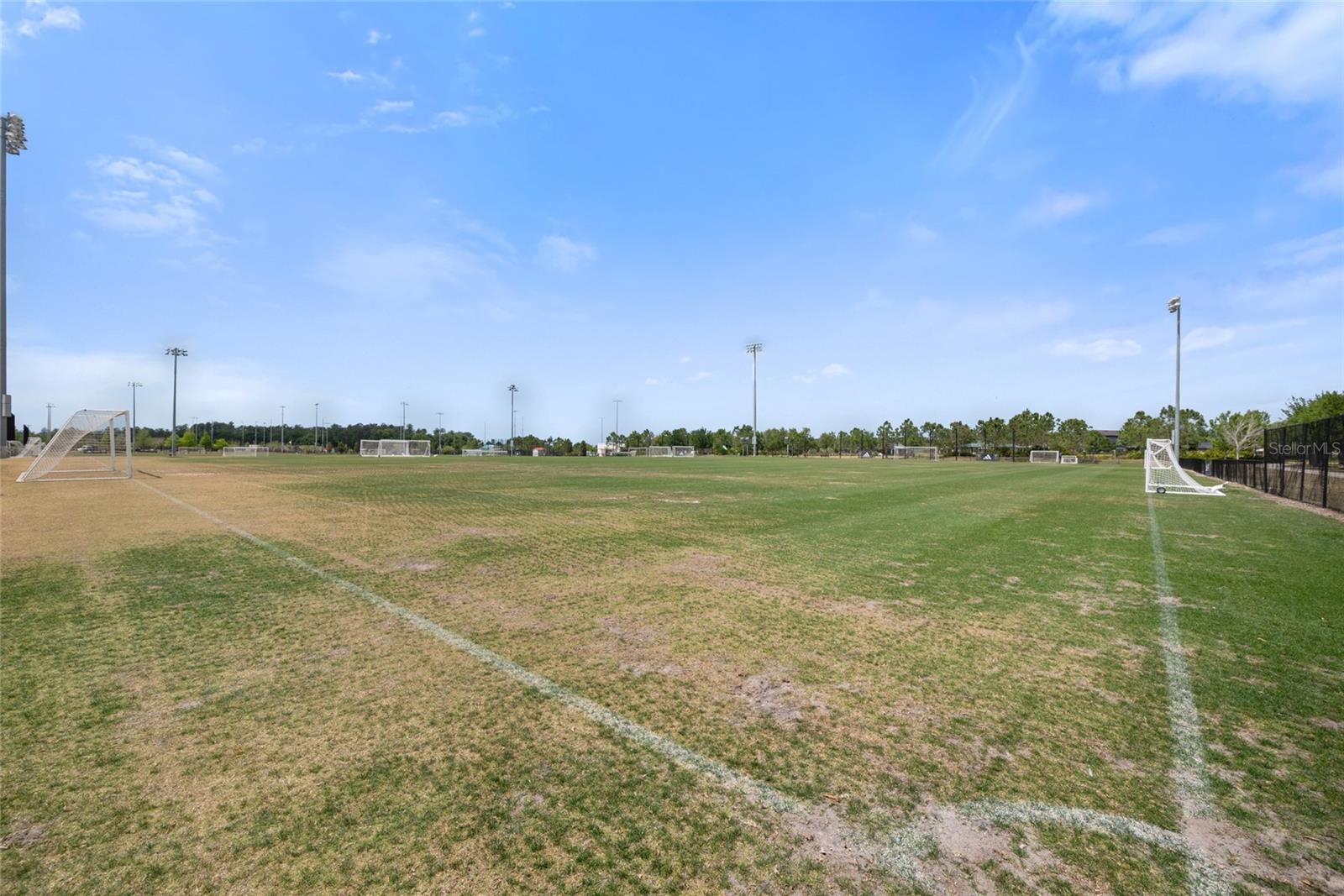 4108 MELLON DR, ODESSA, FL, 33556