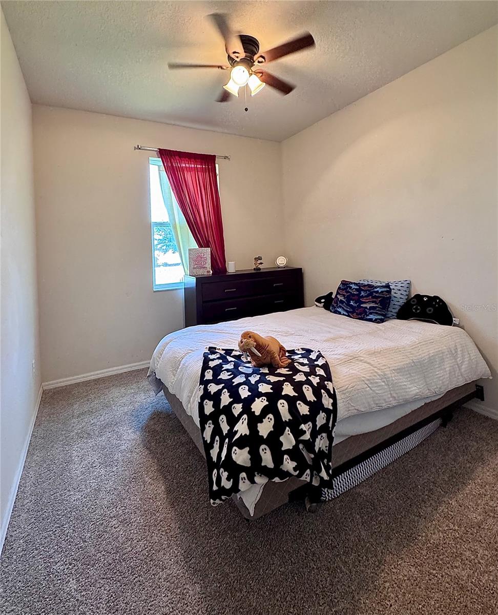 10934 79TH ST E, PARRISH, FL, 34219