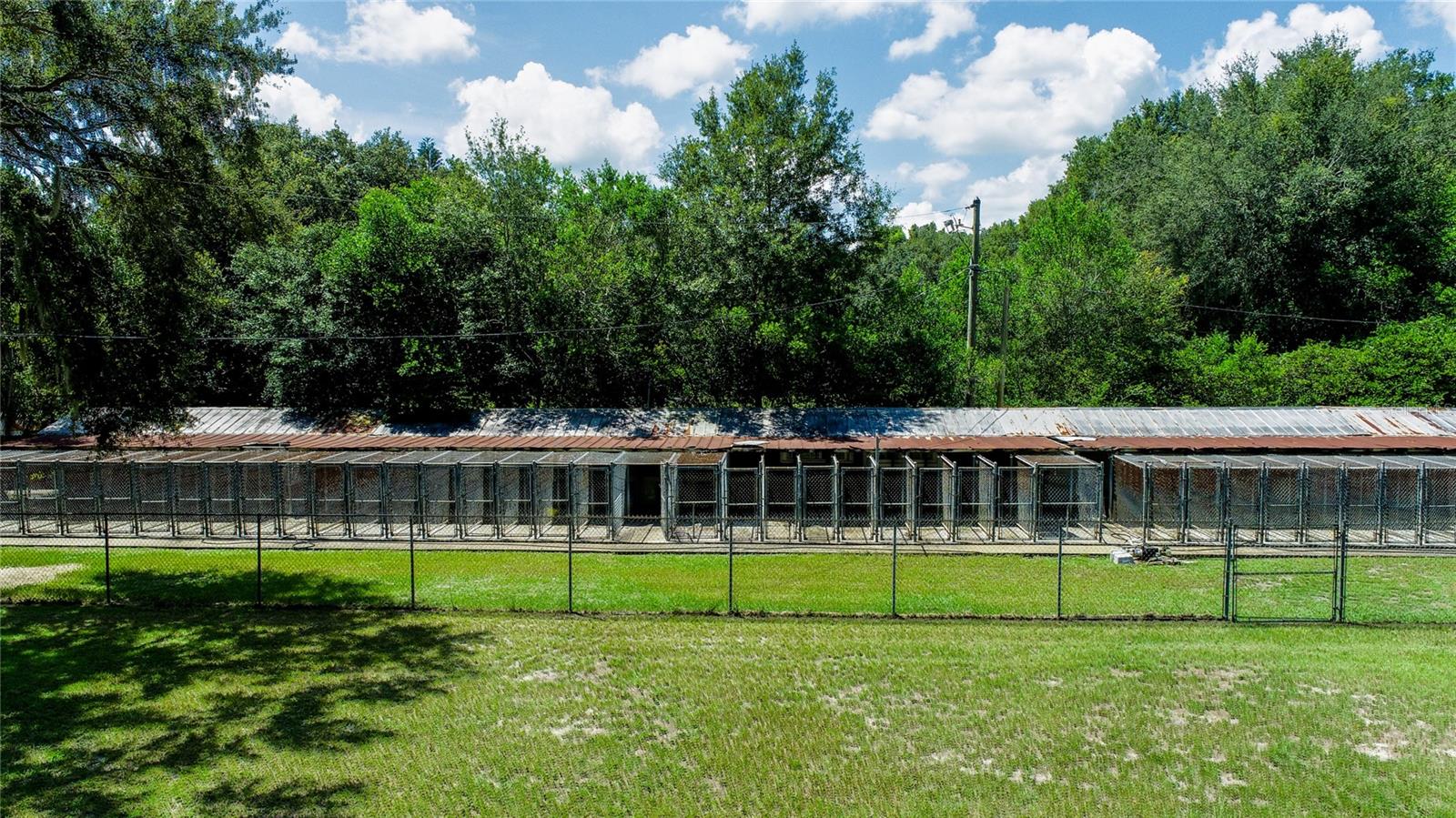 22129 CARSON DR, LAND O LAKES, FL, 34639