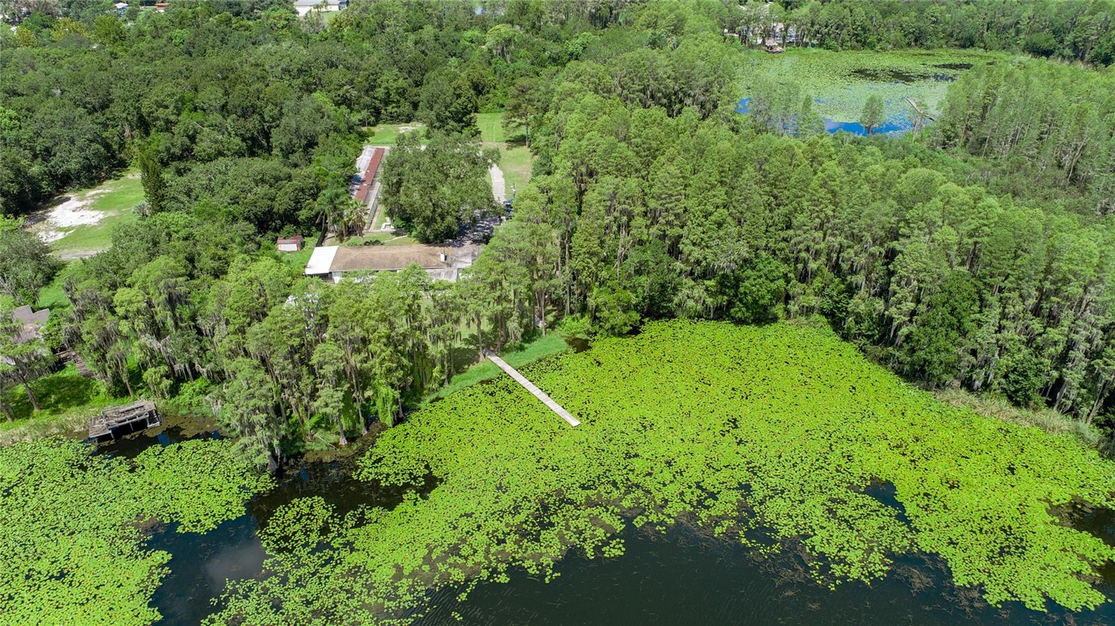 22129 CARSON DR, LAND O LAKES, FL, 34639