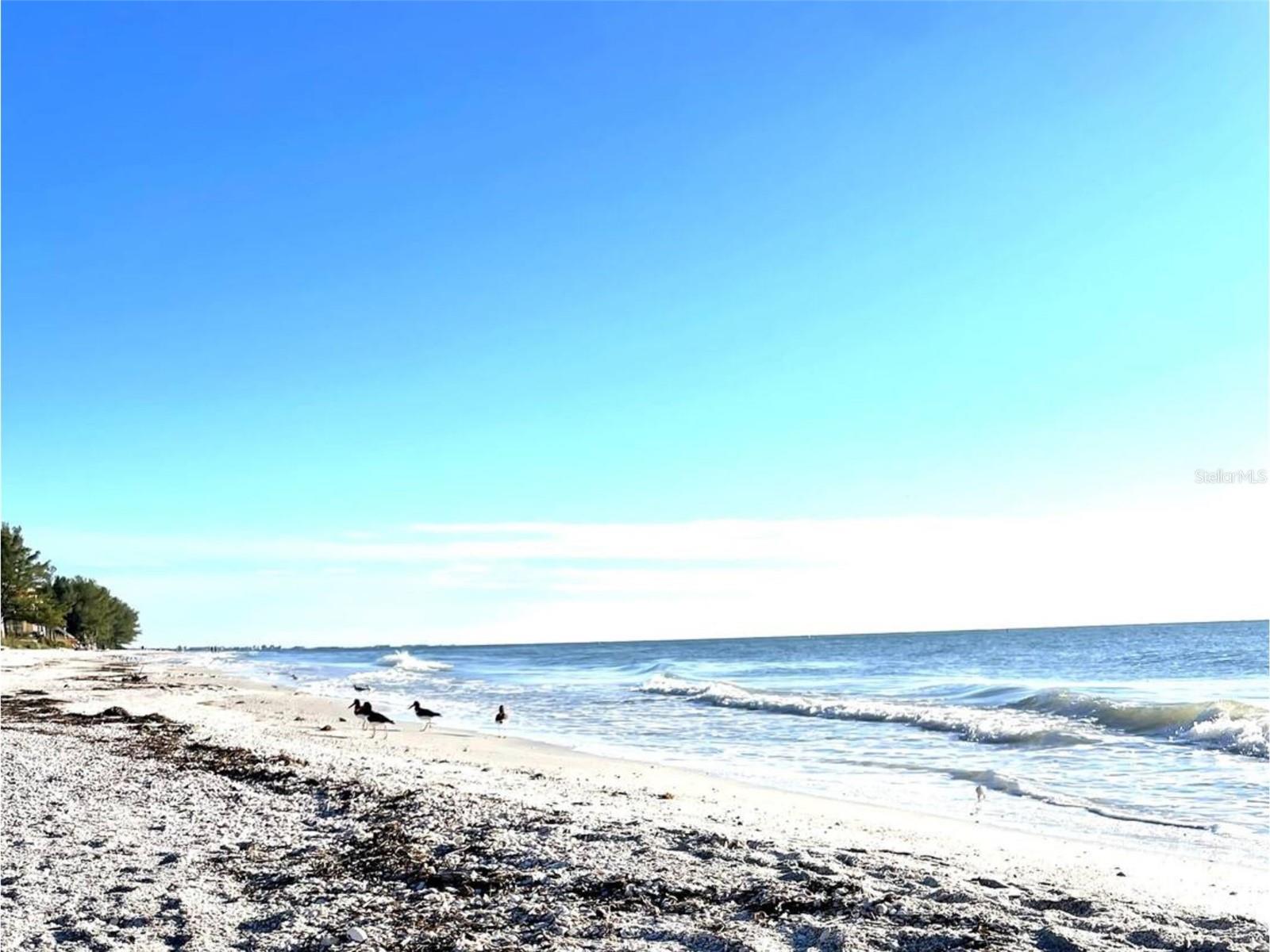 130 86TH TER, TREASURE ISLAND, FL, 33706