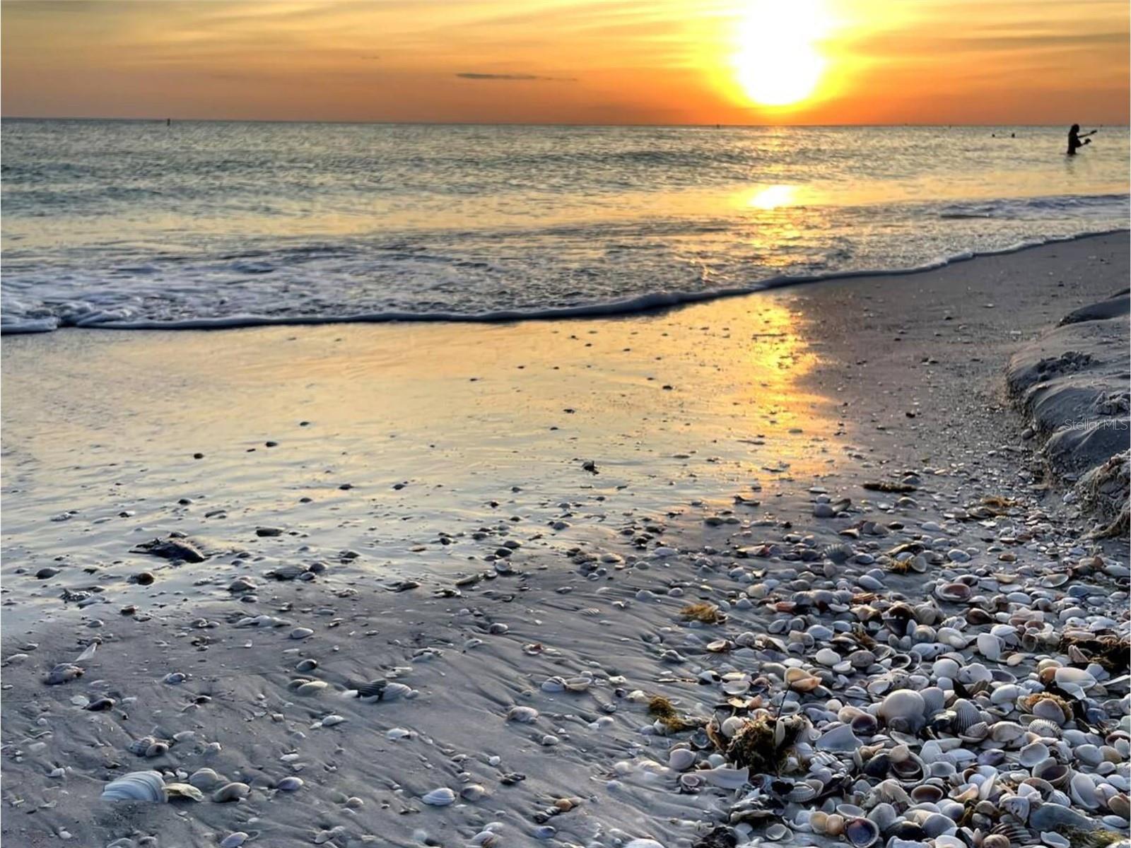 130 86TH TER, TREASURE ISLAND, FL, 33706