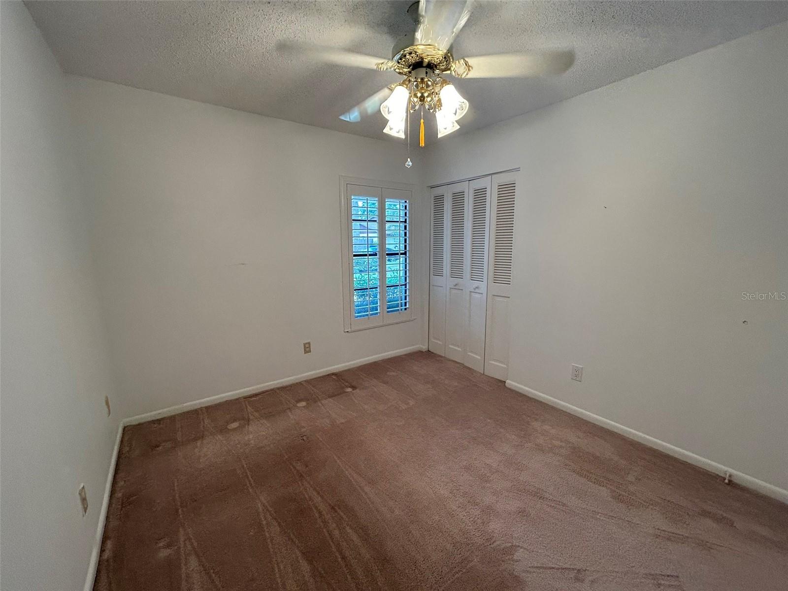 4006 DELLBROOK DR, TAMPA, FL, 33624