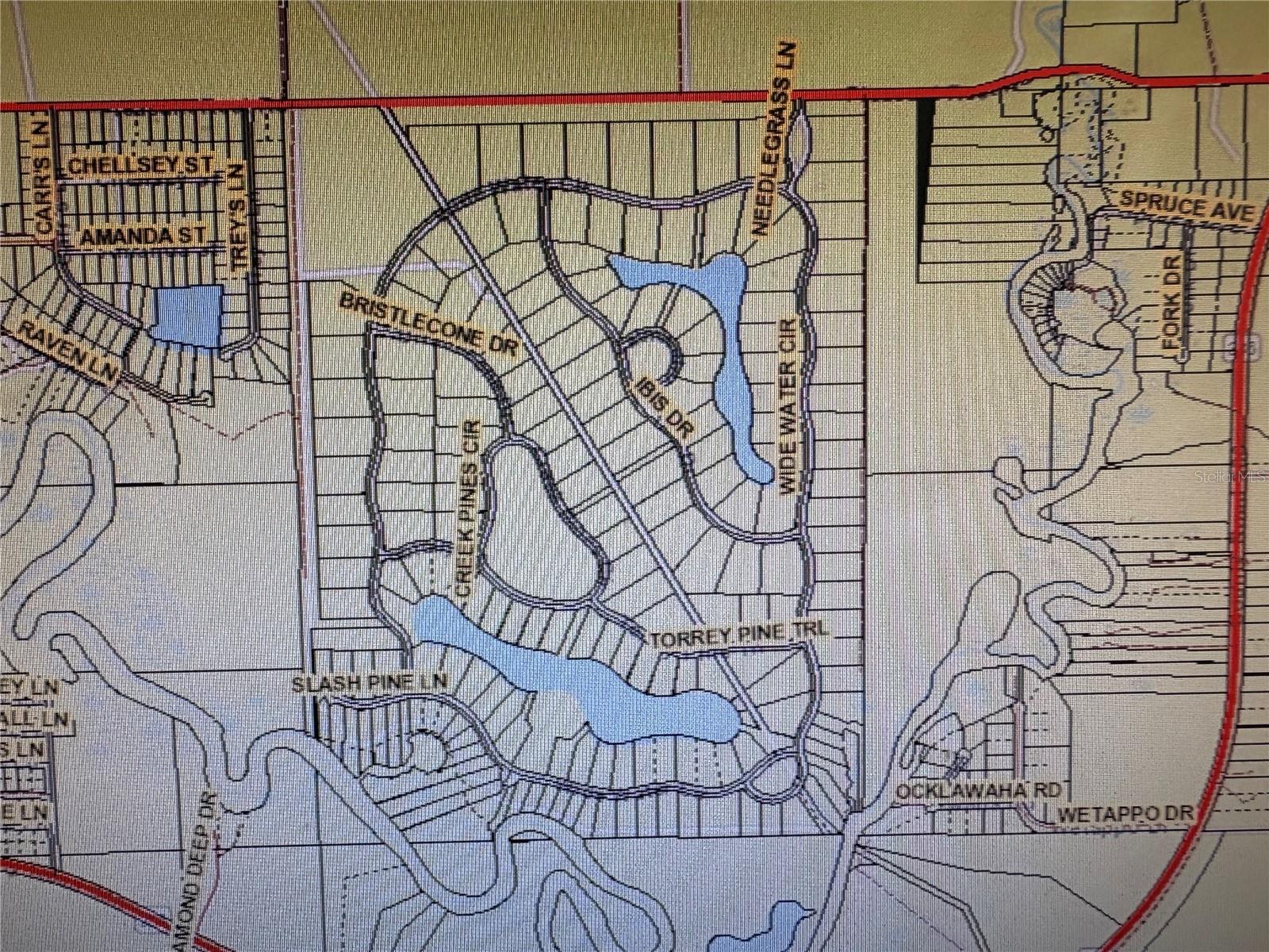 CREEK PINES CIRCLE #Lot 129, WEWAHITCHKA, FL, 32465