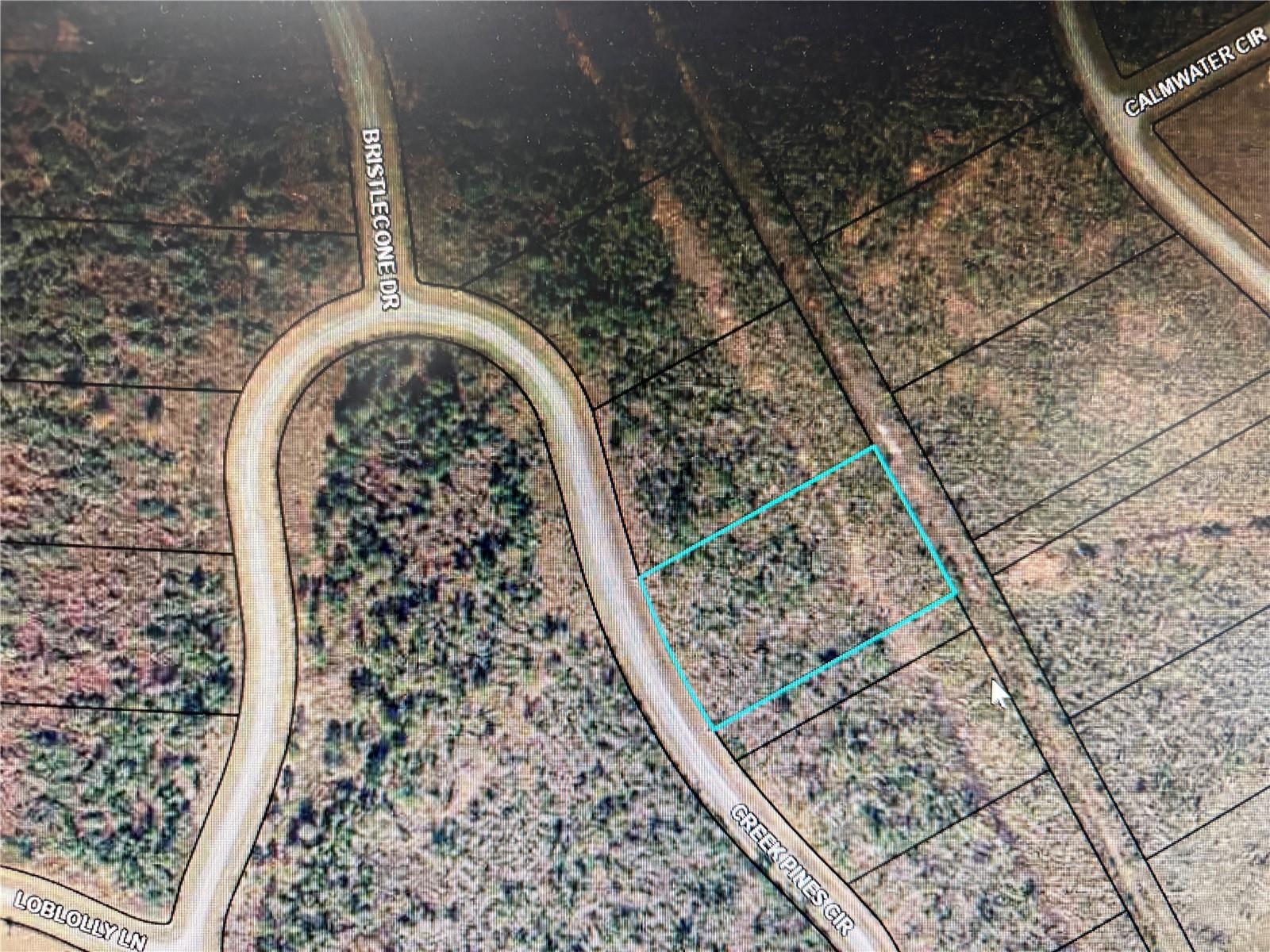 CREEK PINES CIRCLE #Lot 129, WEWAHITCHKA, FL, 32465