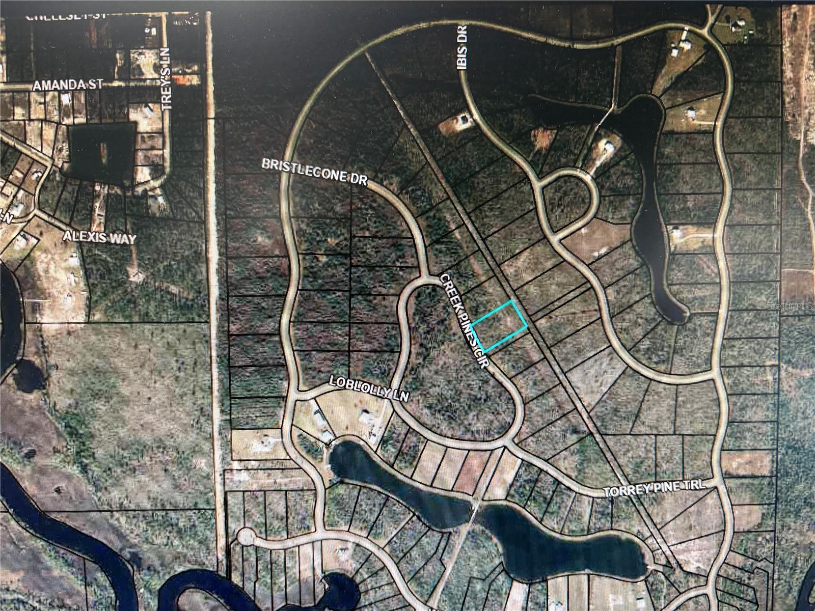 CREEK PINES CIRCLE #Lot 129, WEWAHITCHKA, FL, 32465