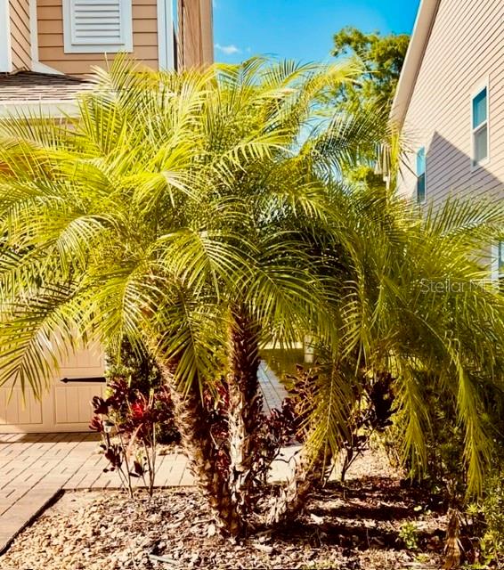 6863 TUSSILAGO WAY, ORLANDO, FL, 32822