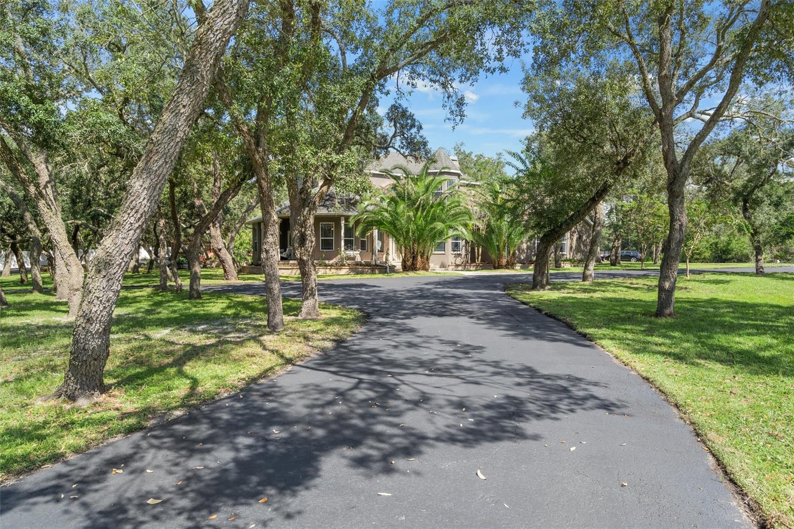 15053 PEACE BLVD, SPRING HILL, FL, 34610