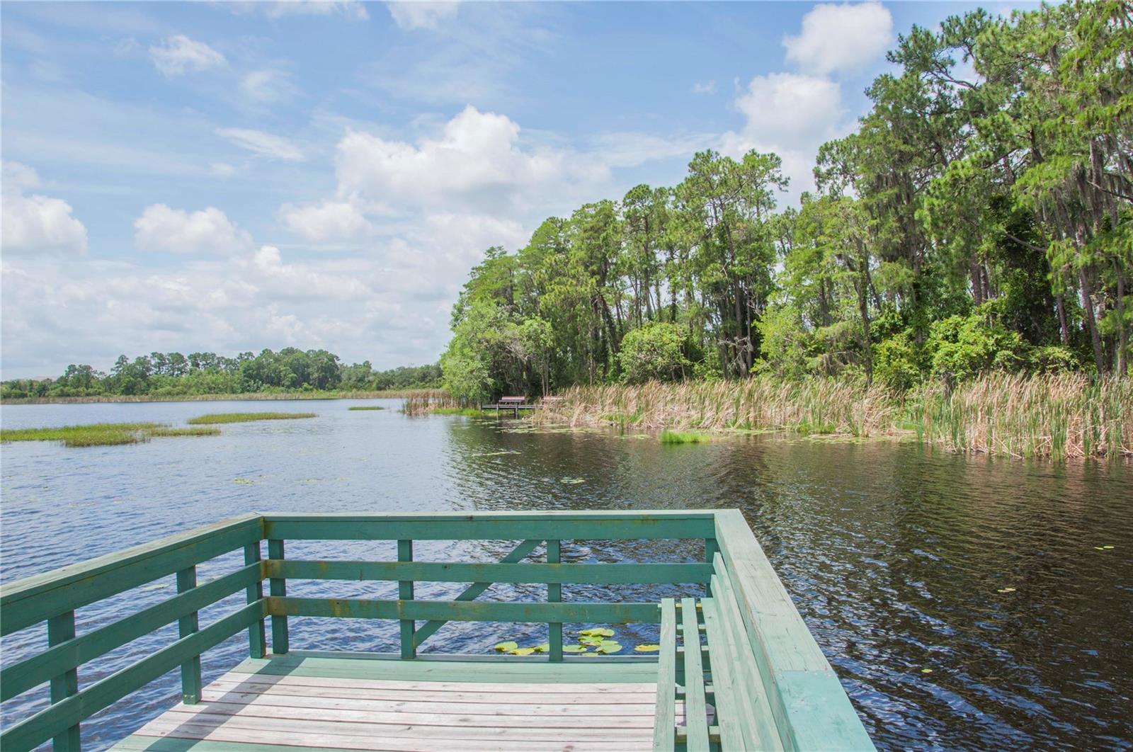 50989 HIGHWAY 27 #161, DAVENPORT, FL, 33897