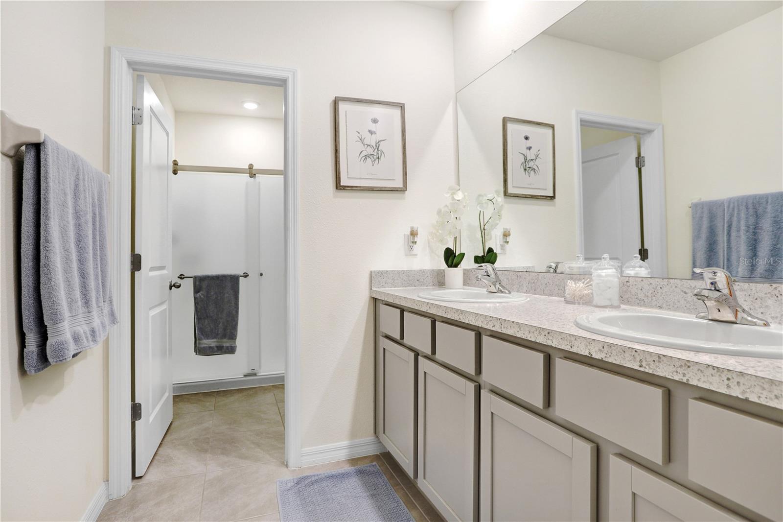 32978 TULIP PETAL LN, WESLEY CHAPEL, FL, 33545