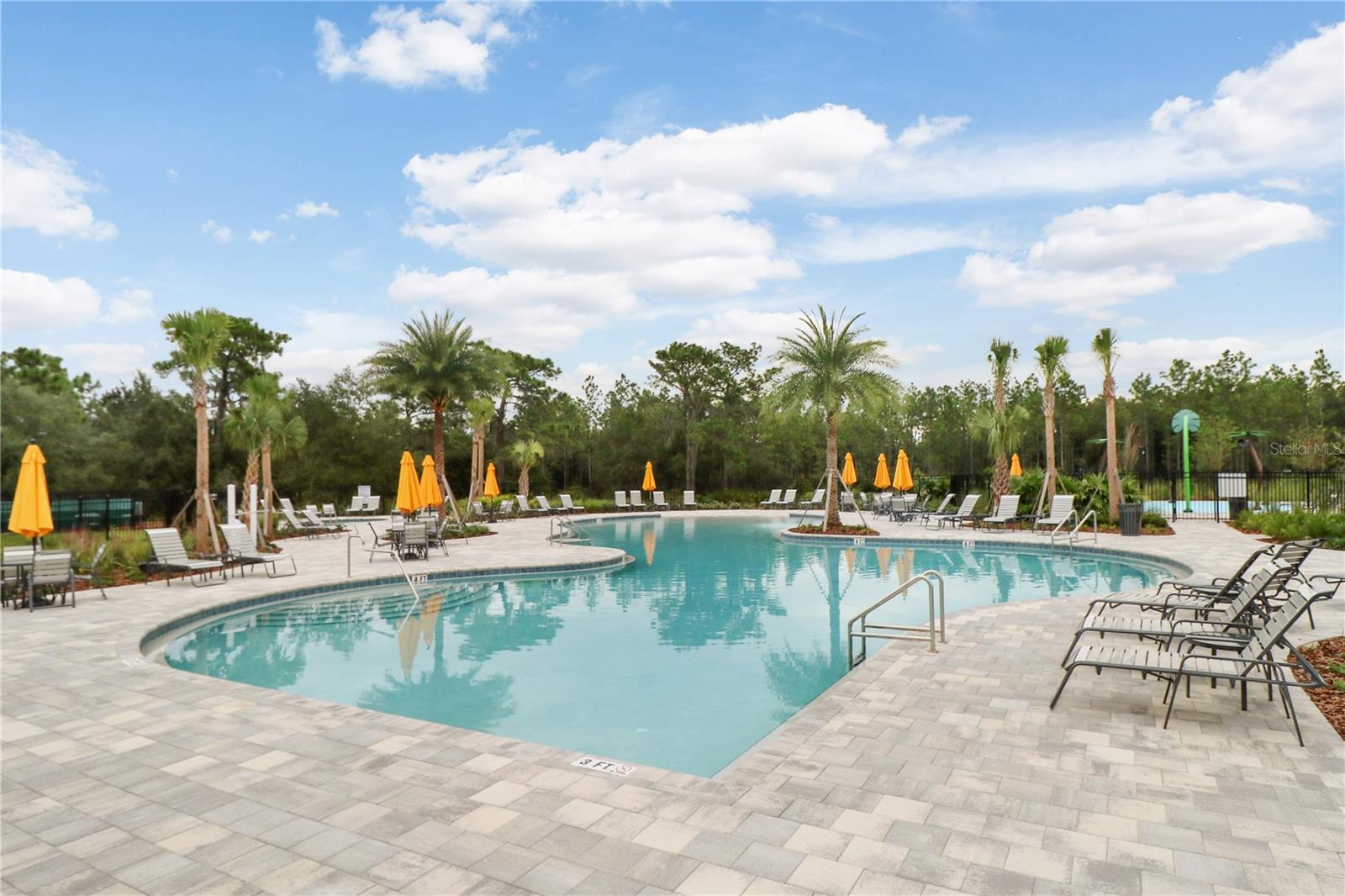 32978 TULIP PETAL LN, WESLEY CHAPEL, FL, 33545