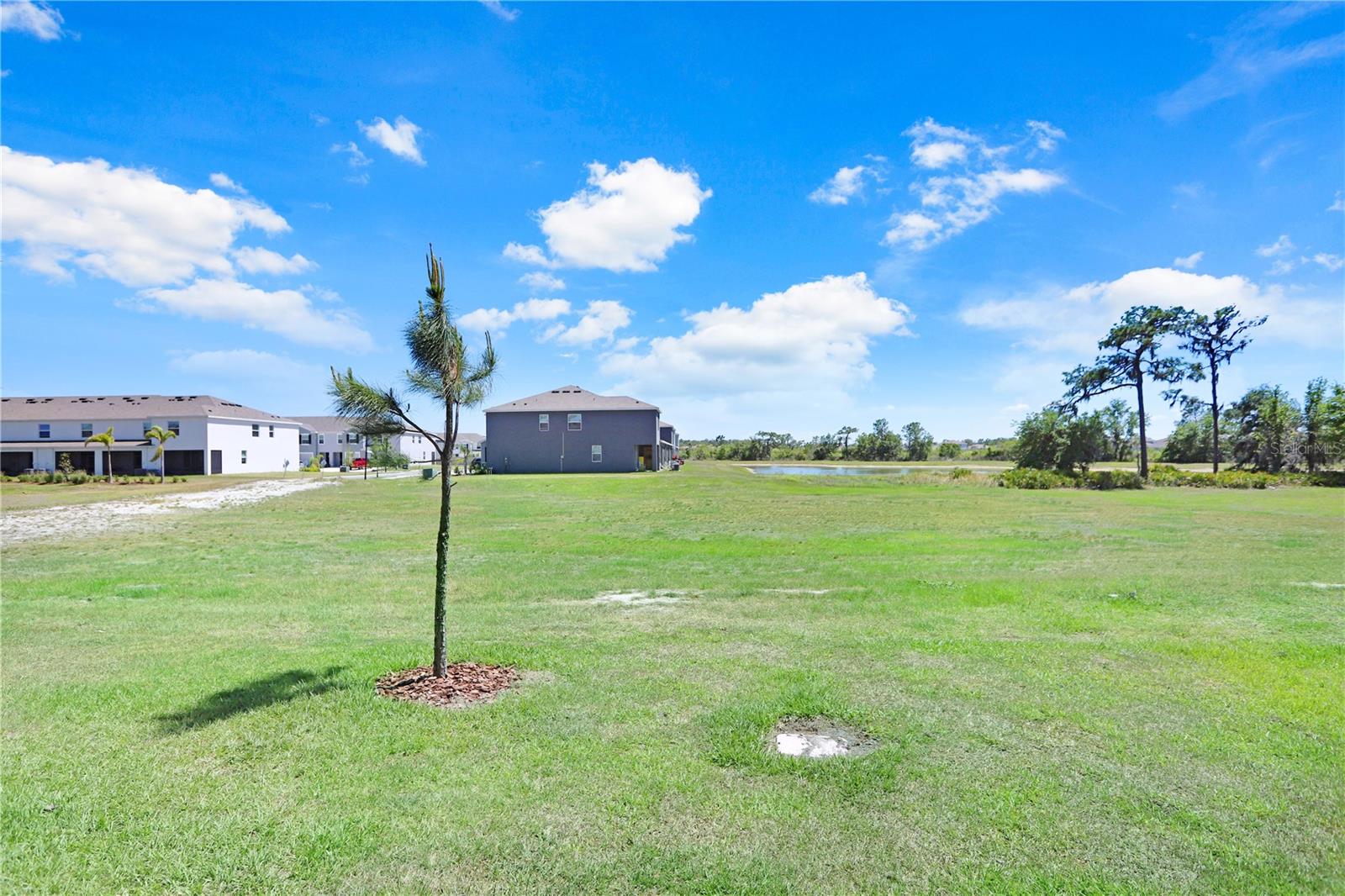 32978 TULIP PETAL LN, WESLEY CHAPEL, FL, 33545