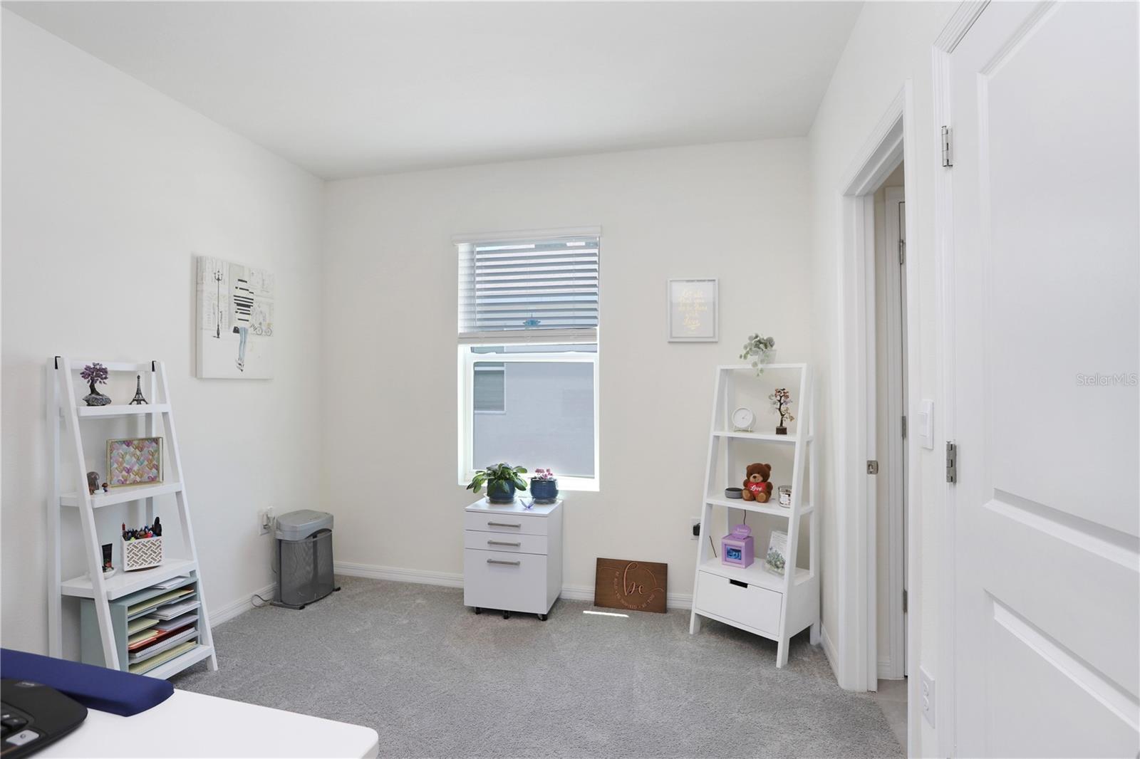 32978 TULIP PETAL LN, WESLEY CHAPEL, FL, 33545