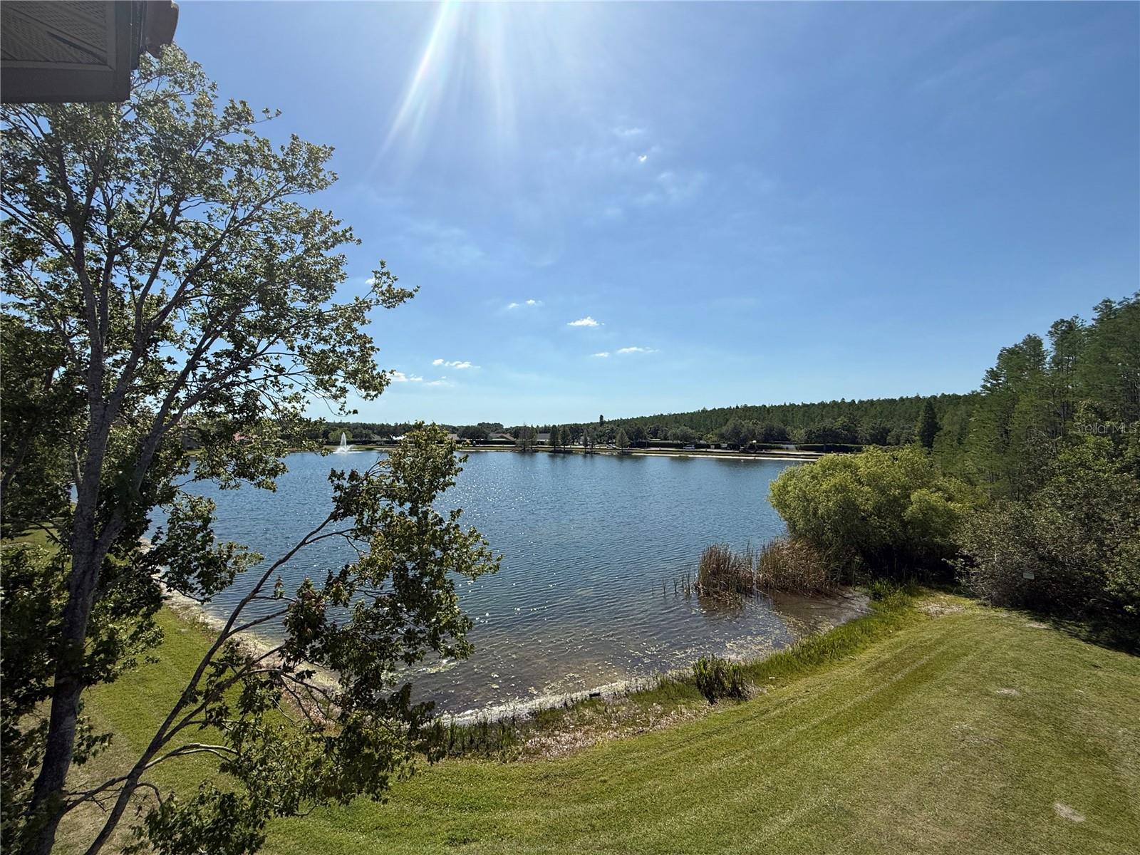 18108 PEREGRINES PERCH PL #7312, LUTZ, FL, 33558