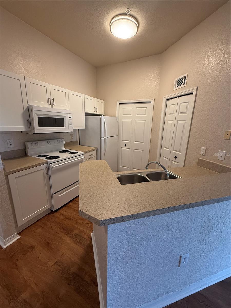 18108 PEREGRINES PERCH PL #7312, LUTZ, FL, 33558