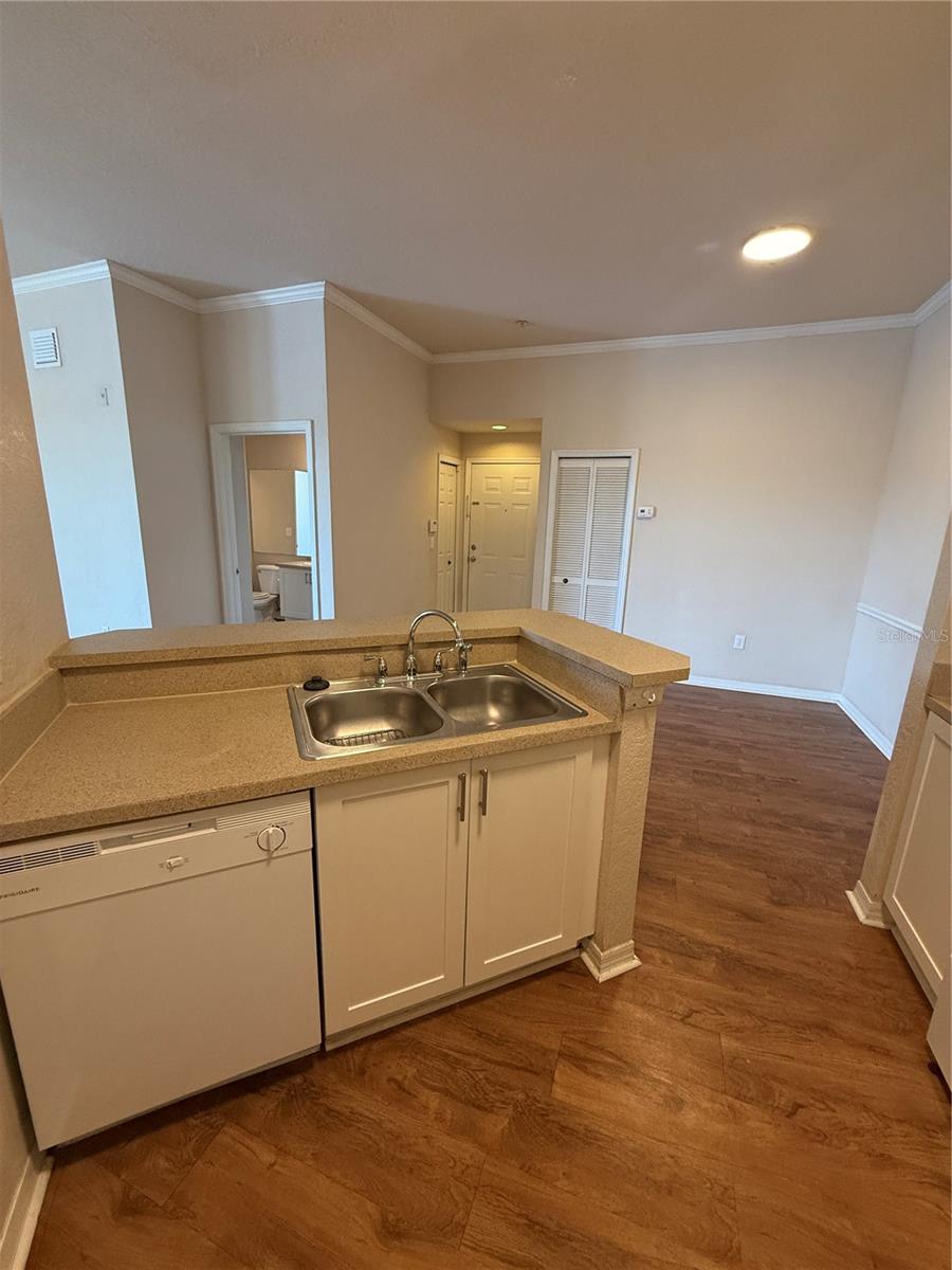 18108 PEREGRINES PERCH PL #7312, LUTZ, FL, 33558