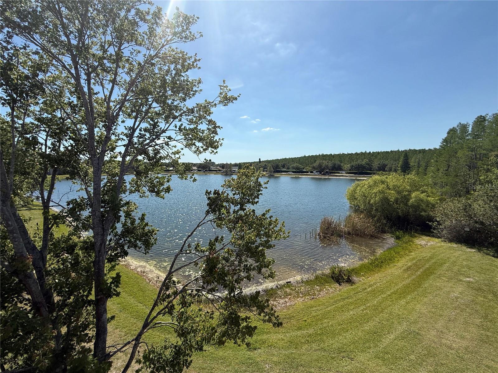 18108 PEREGRINES PERCH PL #7312, LUTZ, FL, 33558