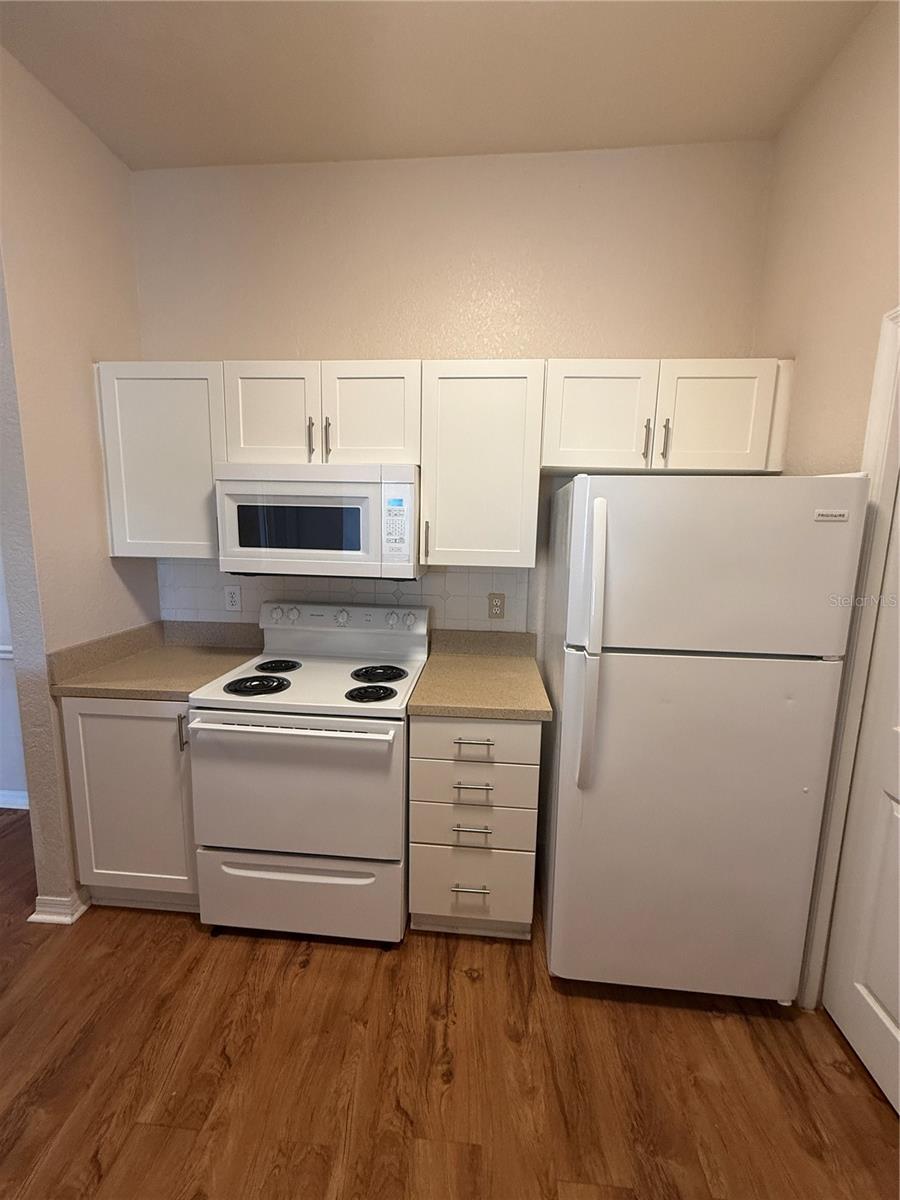 18108 PEREGRINES PERCH PL #7312, LUTZ, FL, 33558