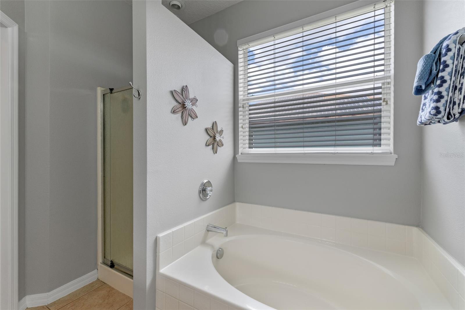 10435 EASTPARK LAKE DR, ORLANDO, FL, 32832