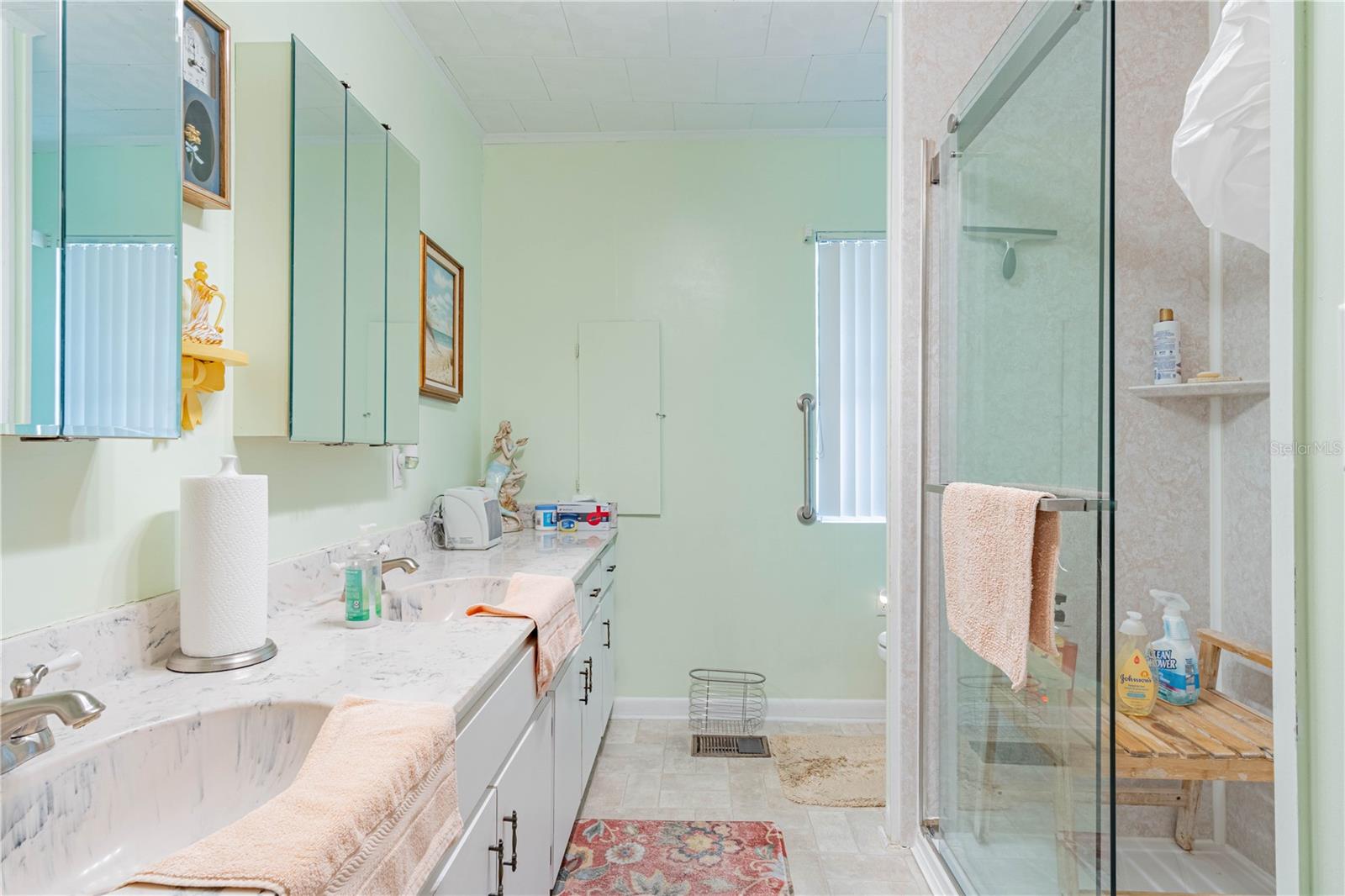 3075 CR 431N, LAKE PANASOFFKEE, FL, 33538