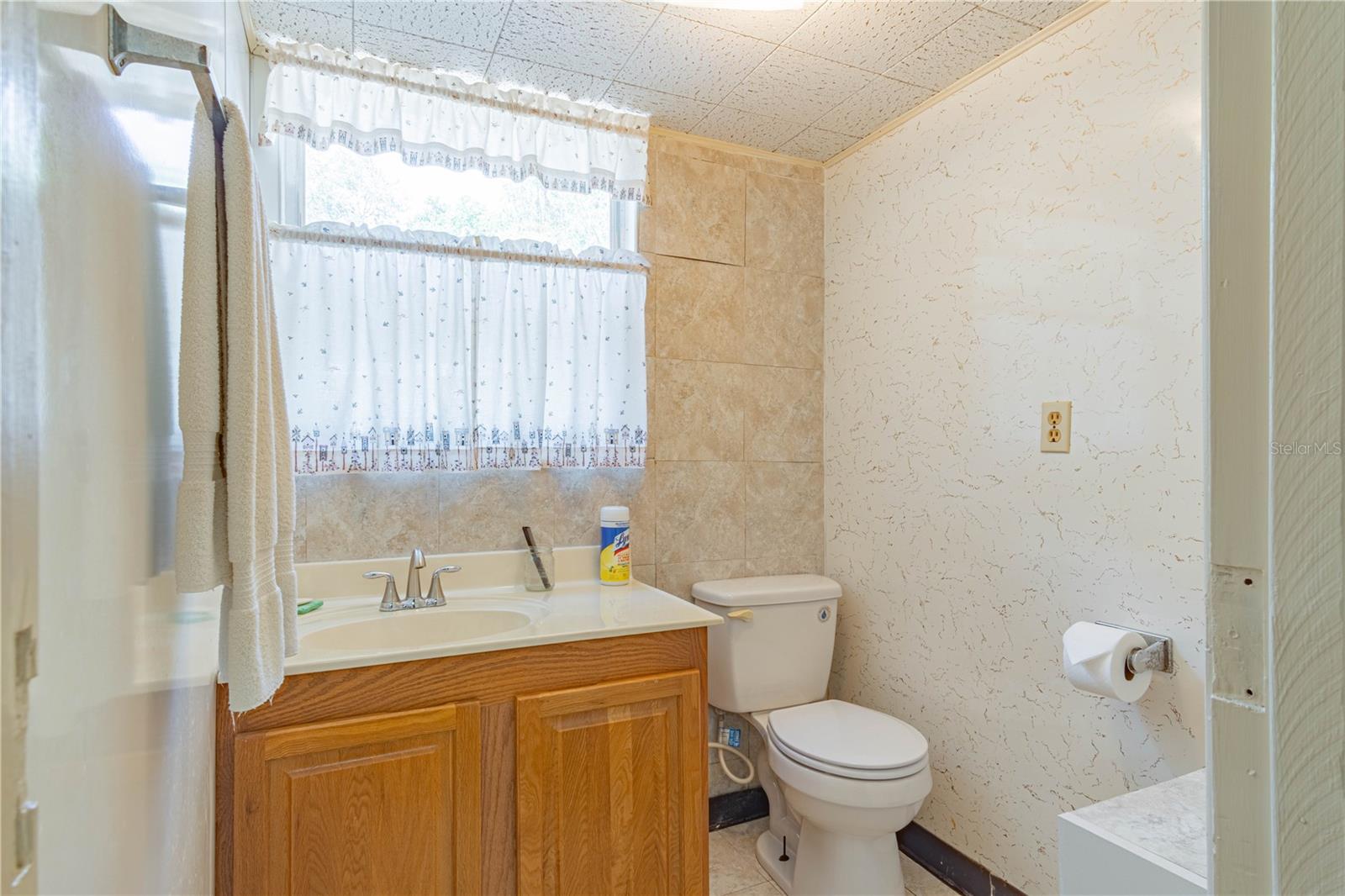 3075 CR 431N, LAKE PANASOFFKEE, FL, 33538