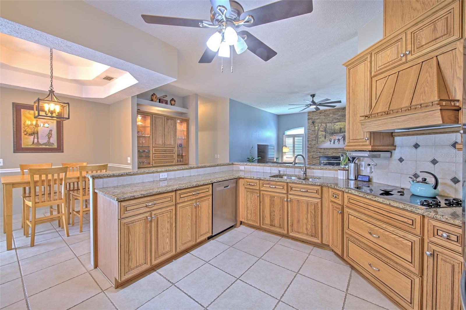 2113 GOLF MANOR BLVD, VALRICO, FL, 33596