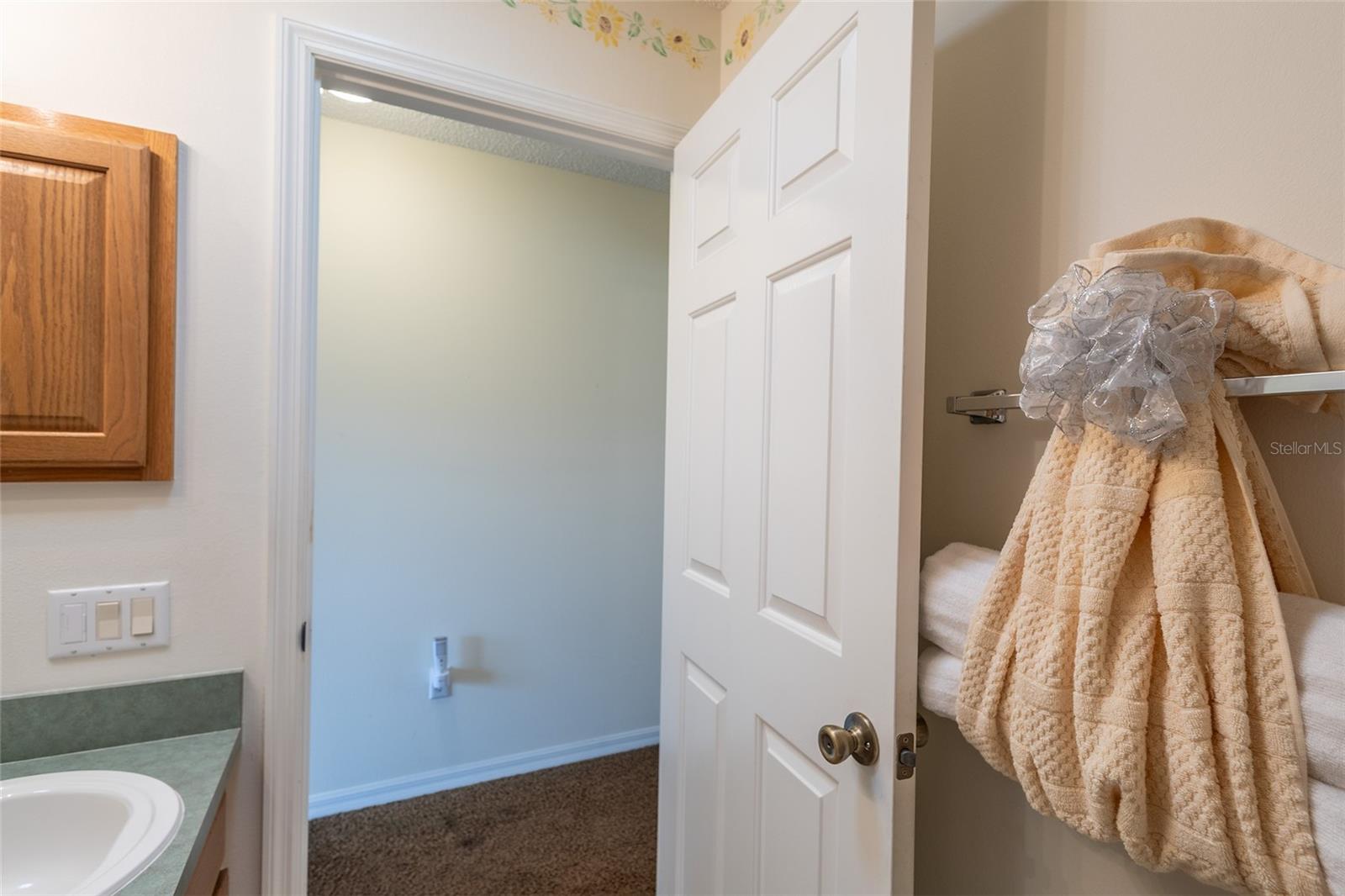 1806 ESTAFANA WAY, THE VILLAGES, FL, 32159