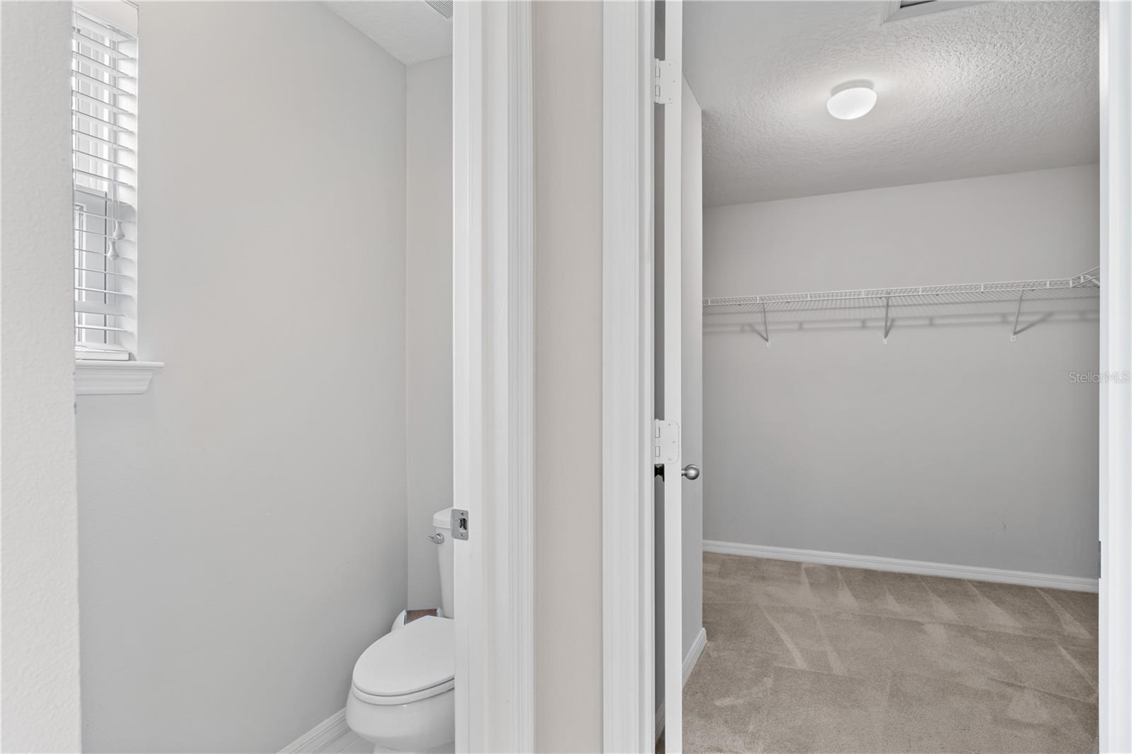 14841 PORTER RD, WINTER GARDEN, FL, 34787