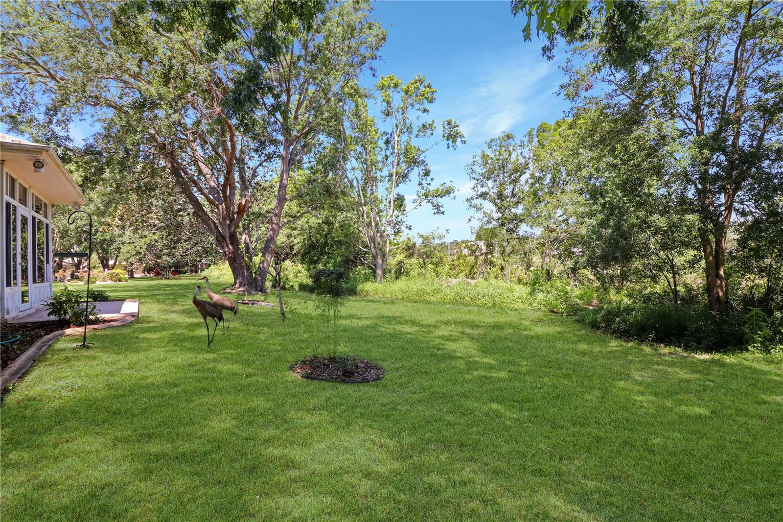 5352 ROYAL STUART CT, LEESBURG, FL, 34748