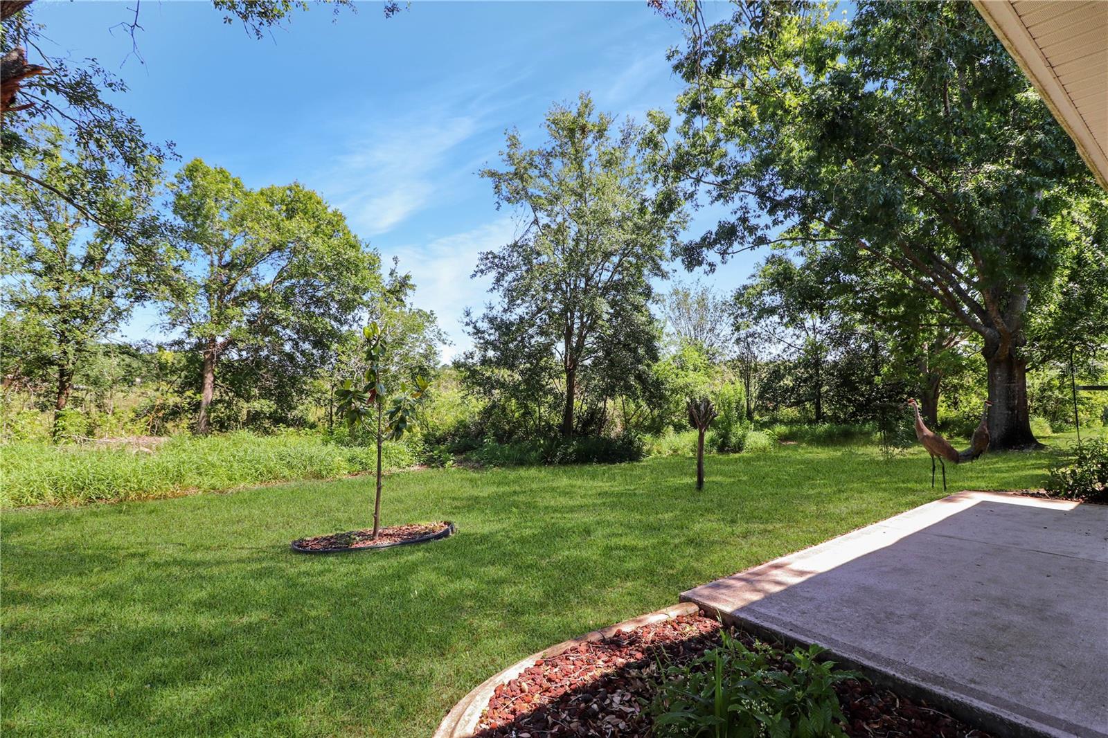 5352 ROYAL STUART CT, LEESBURG, FL, 34748