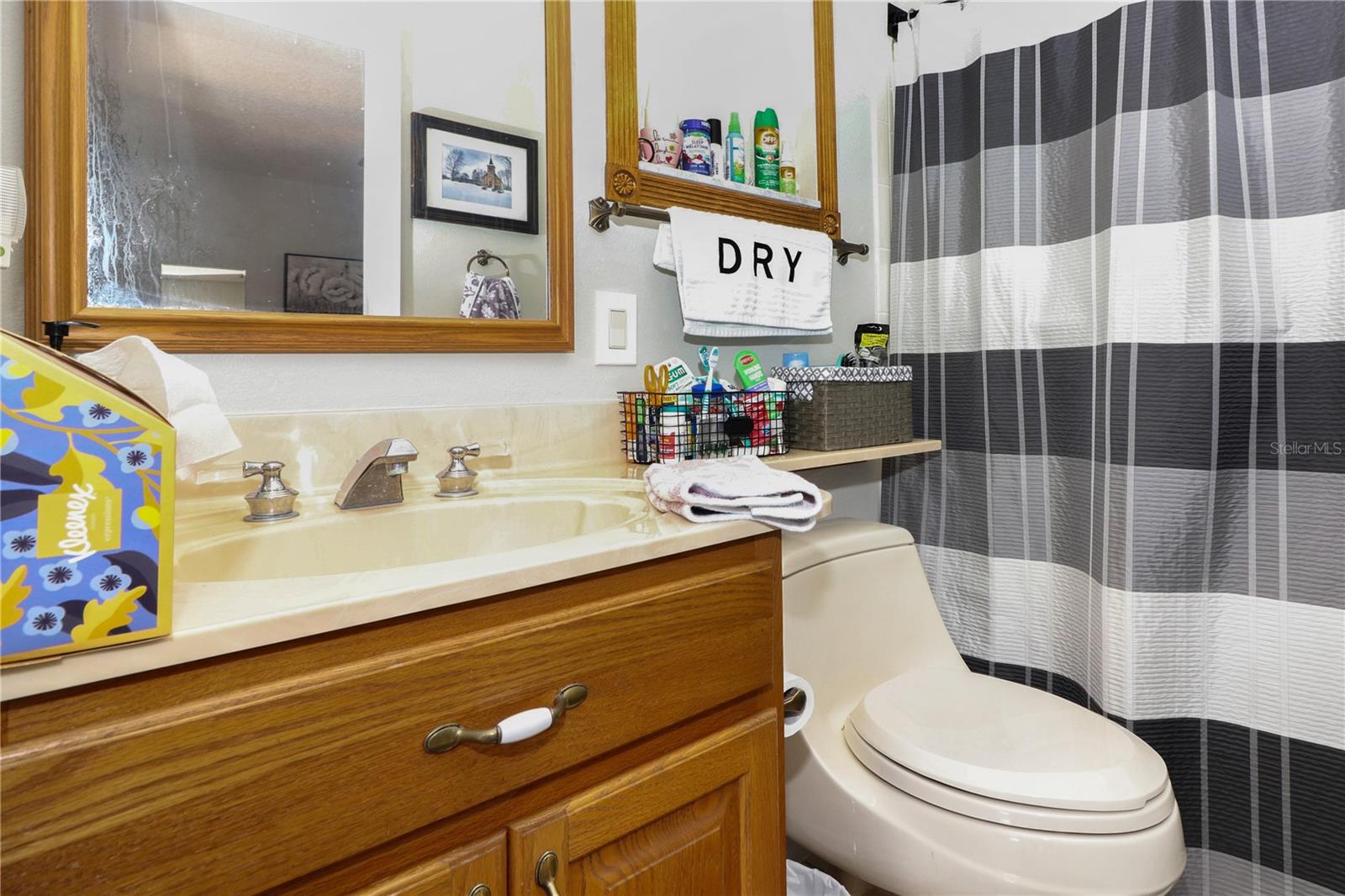 5352 ROYAL STUART CT, LEESBURG, FL, 34748