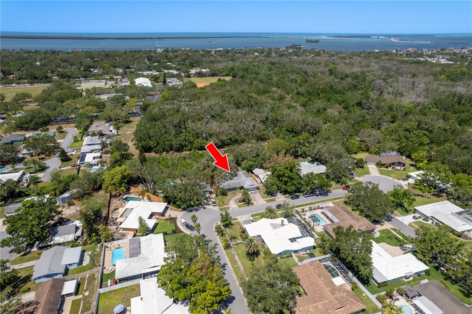 1654 MCKAY CT, DUNEDIN, FL, 34698