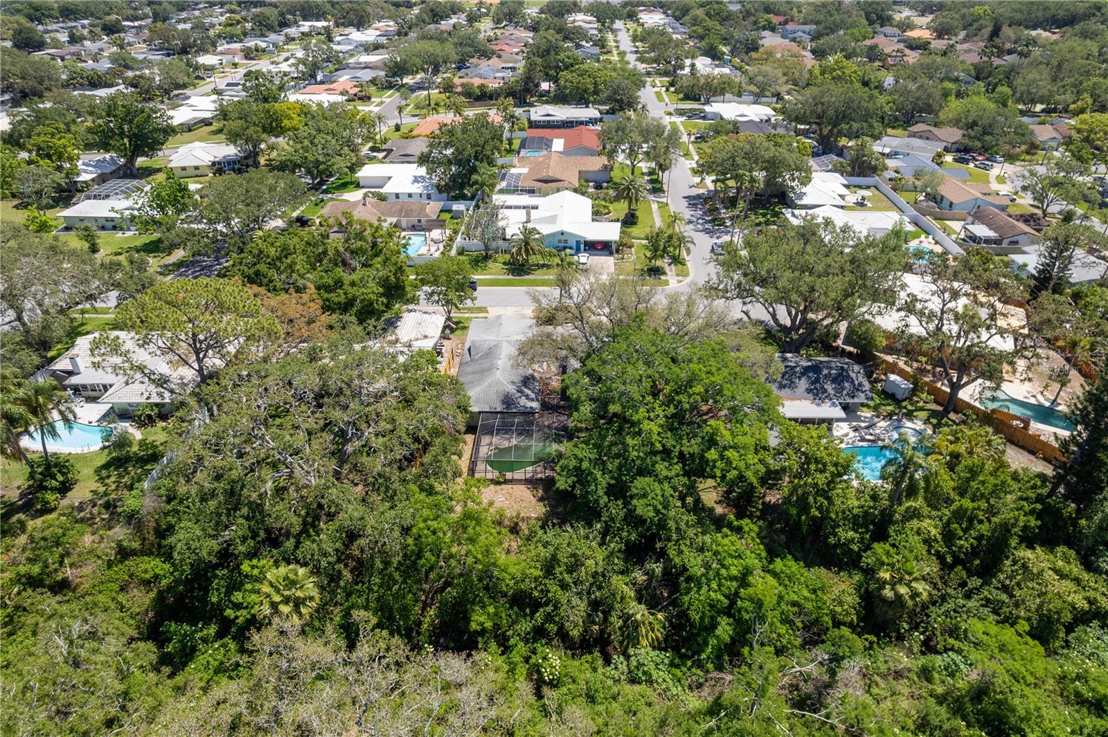 1654 MCKAY CT, DUNEDIN, FL, 34698