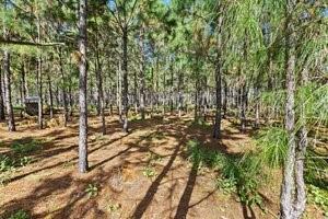 18105 BETHLEHEM RD, LITHIA, FL, 33547